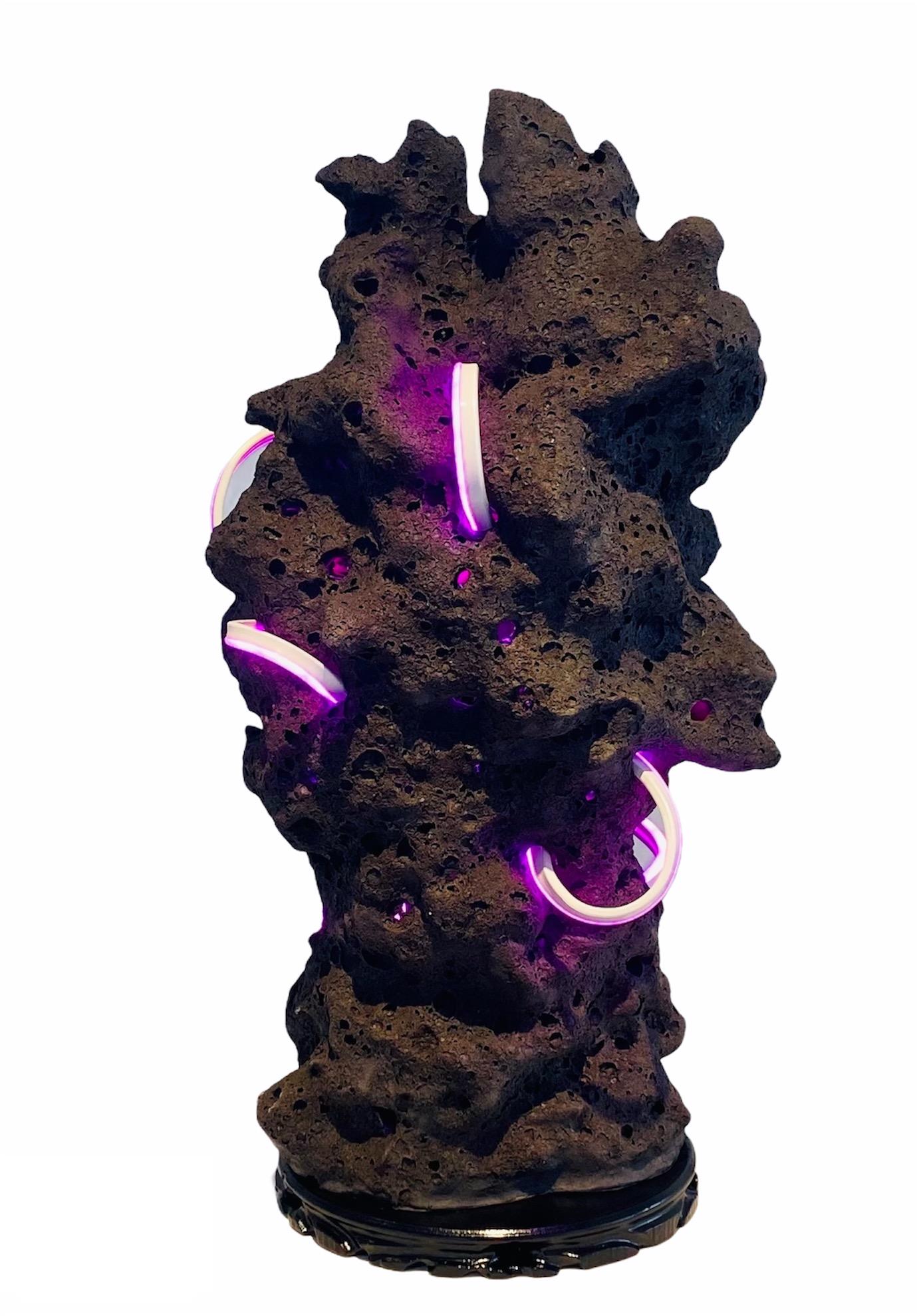 Abstract Sculpture Kristina Larson - Scholar's Stone I (noir avec lumière rose) contemporain