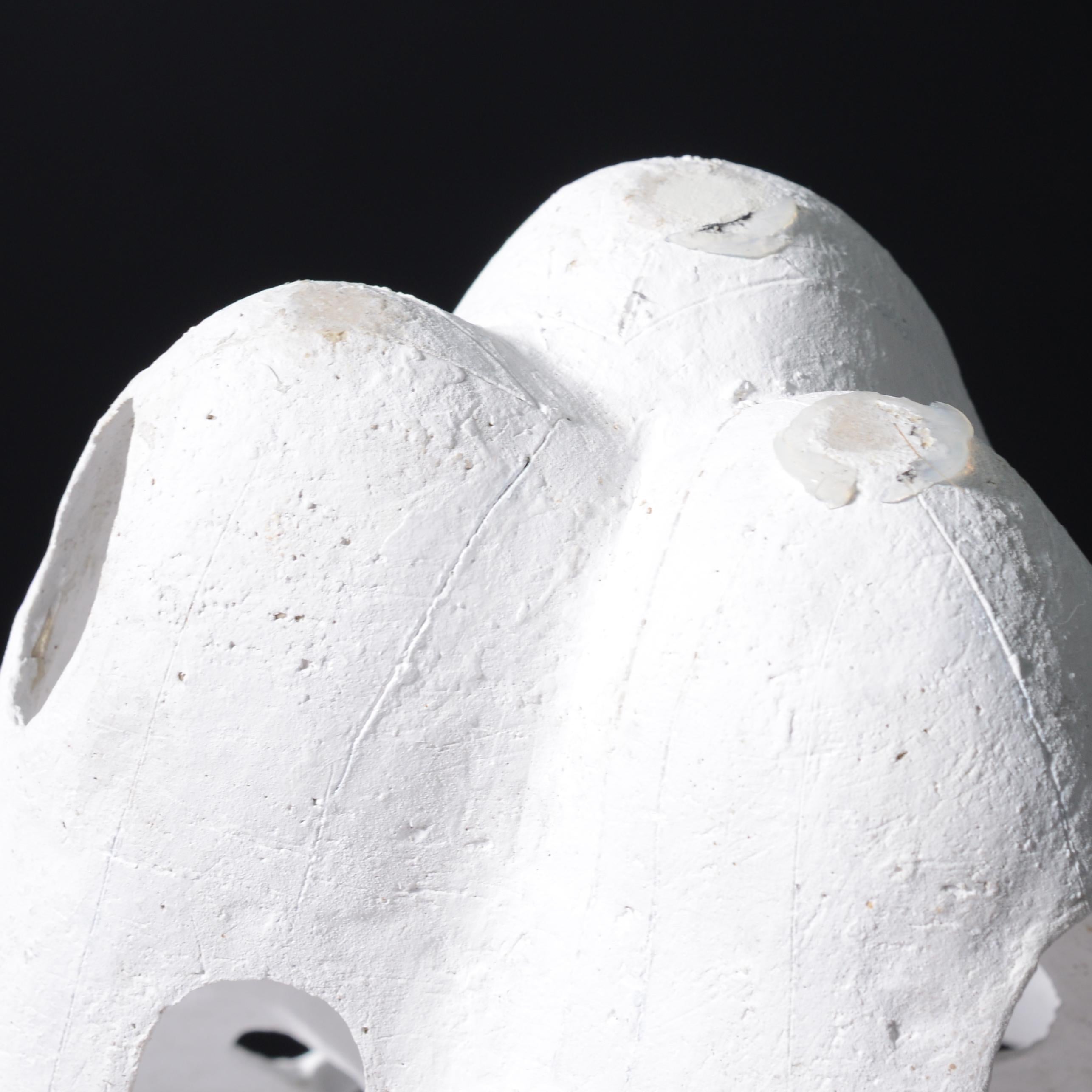 Kristina Riska Vaso Cestino, 11.5 