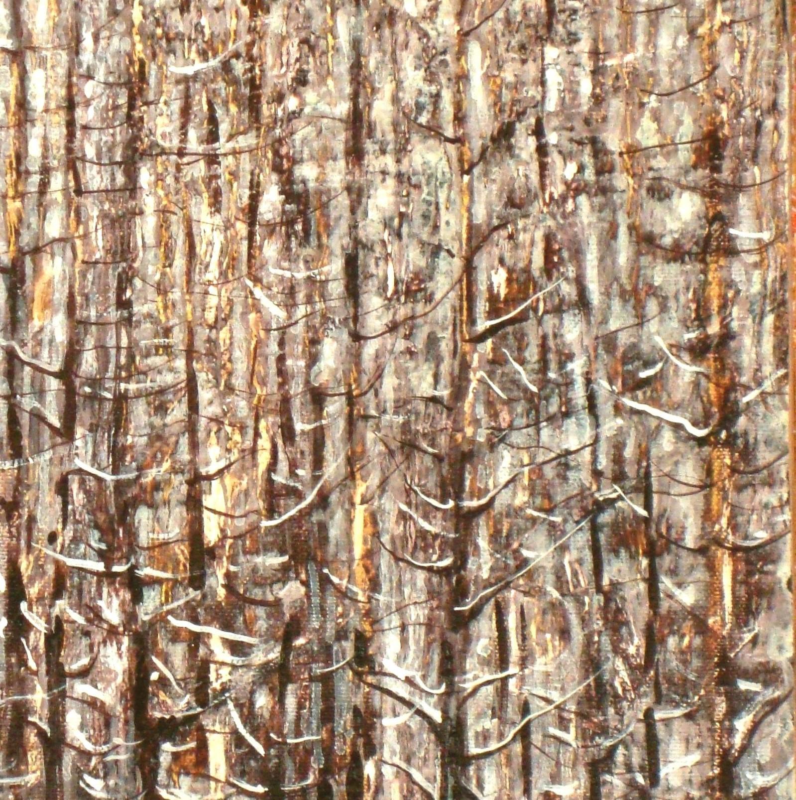 Forest. 2014, Öl auf Leinwand, 40x30 cm – Painting von Kristine Kvitka