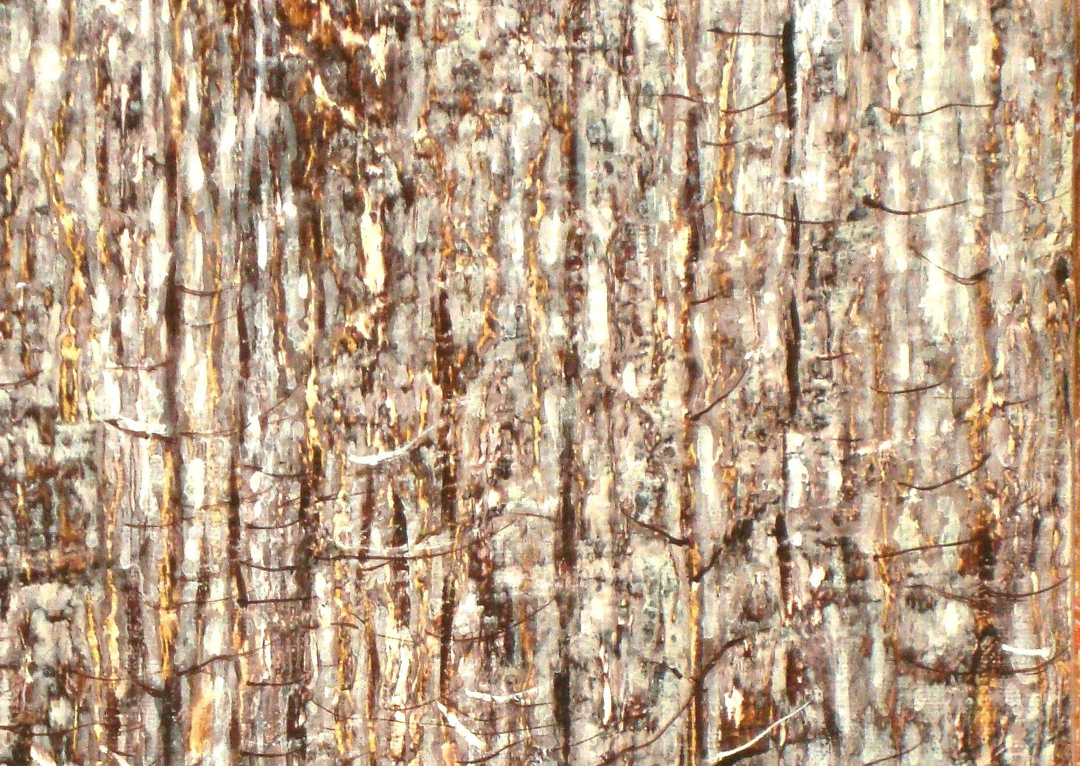 Forest. 2014, Öl auf Leinwand, 40x30 cm (Braun), Landscape Painting, von Kristine Kvitka