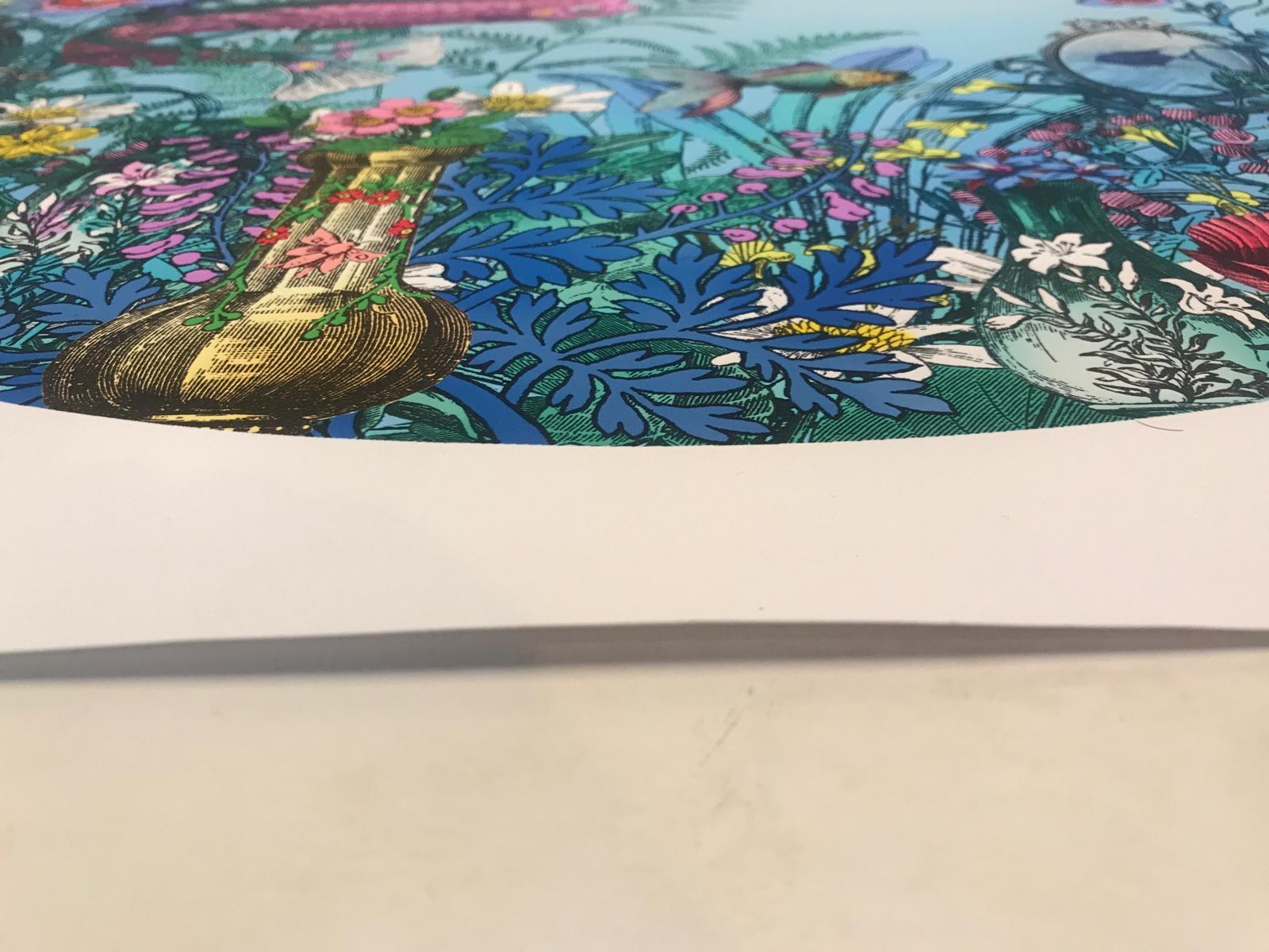 Fiskur Ne Thari - Circular Sea Born, Giclee Ink Print, Fish, Ocean, Fantasy For Sale 16