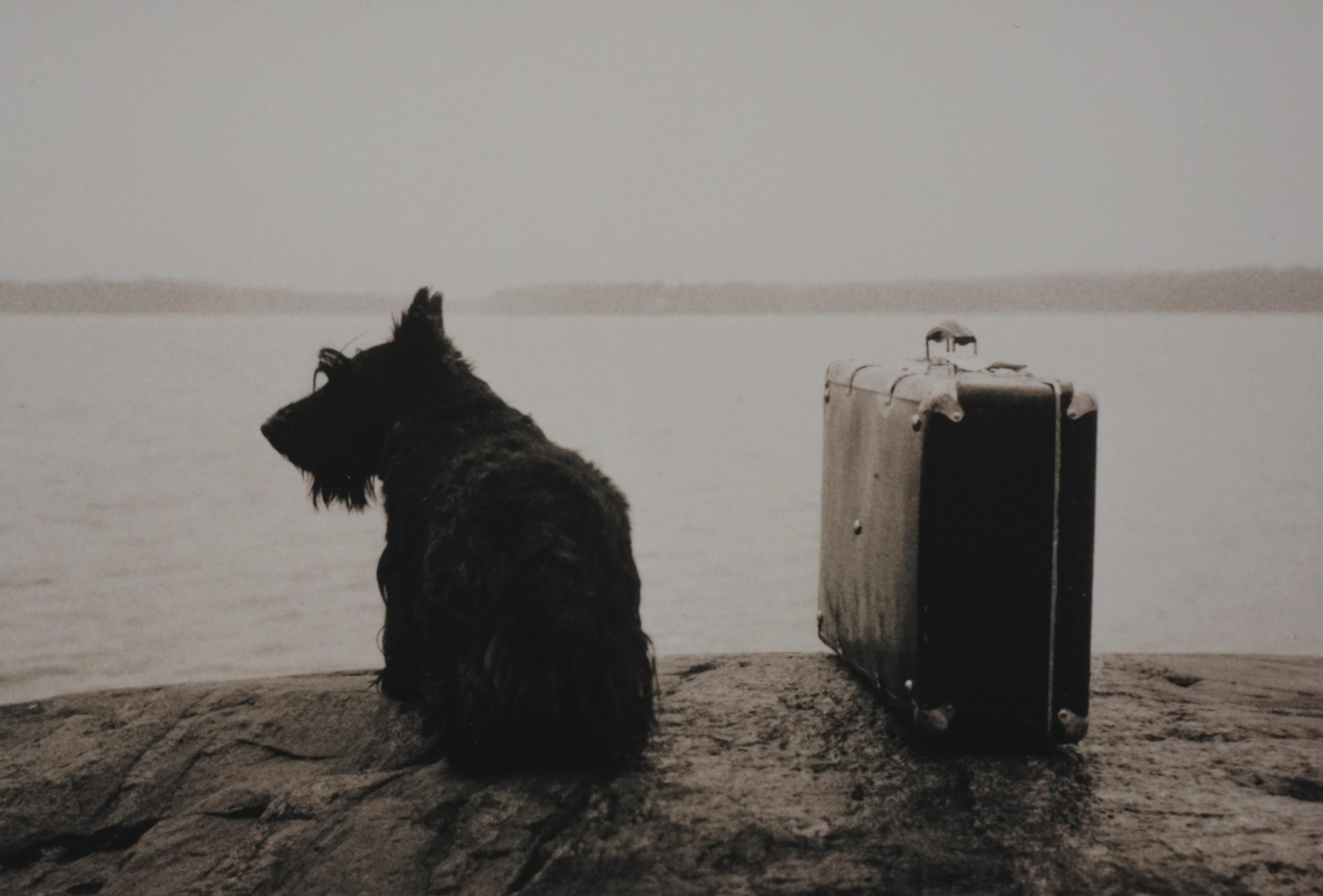 Kristoffer Albrecht Black and White Photograph – Hunde mit Aktentasche