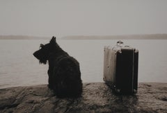 Dog With Suitcase