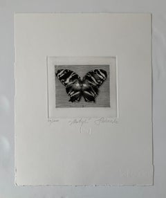 Butterfly - 21st Century Figurative Copperplate Print Black & White