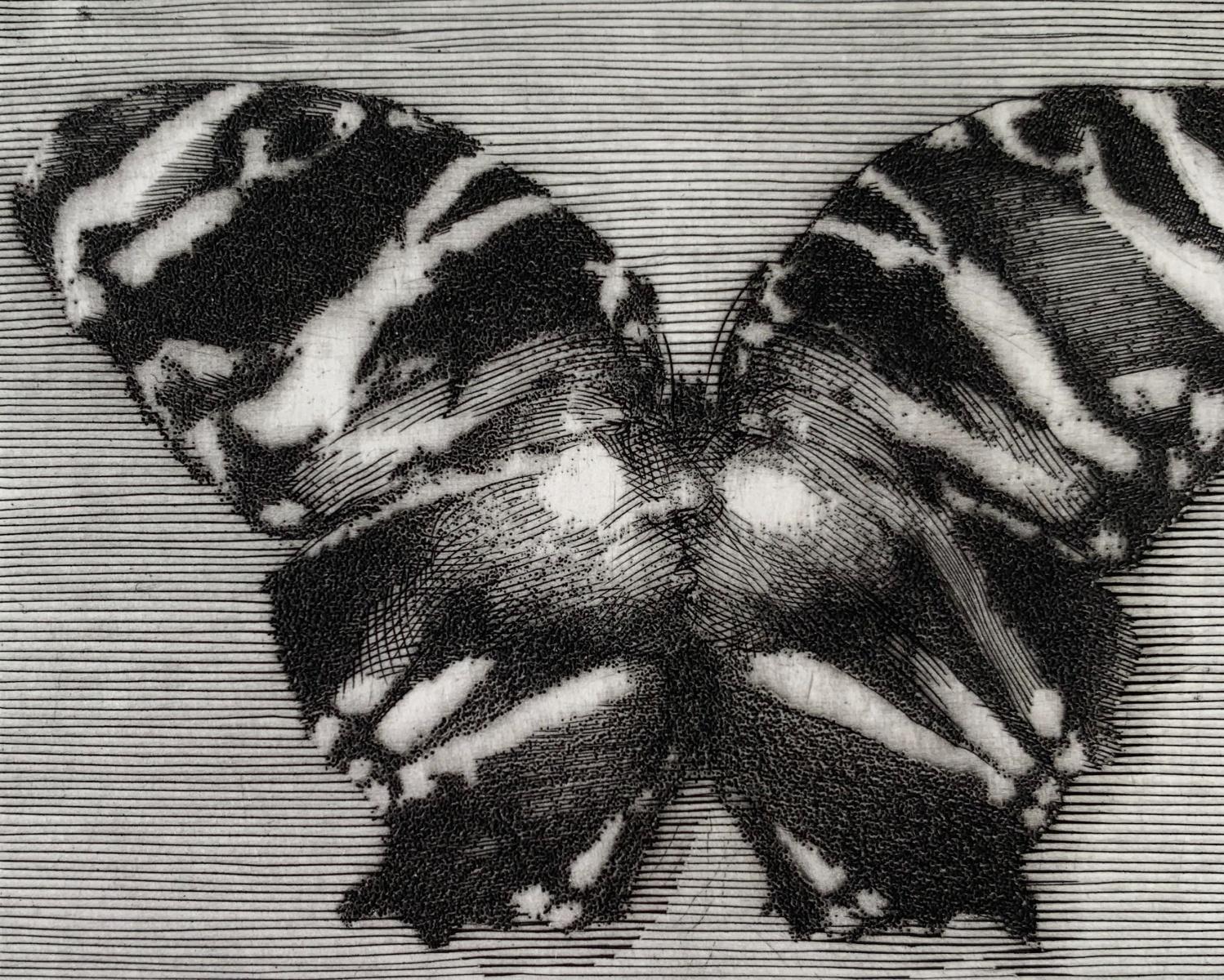 Butterfly - 21st Century Figurative Copperplate Print Black & White For Sale 1