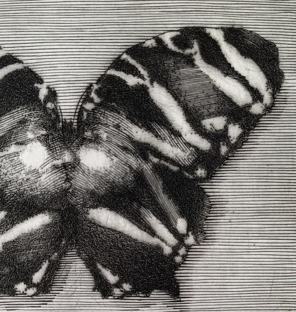 Butterfly - 21st Century Figurative Copperplate Print Black & White For Sale 2
