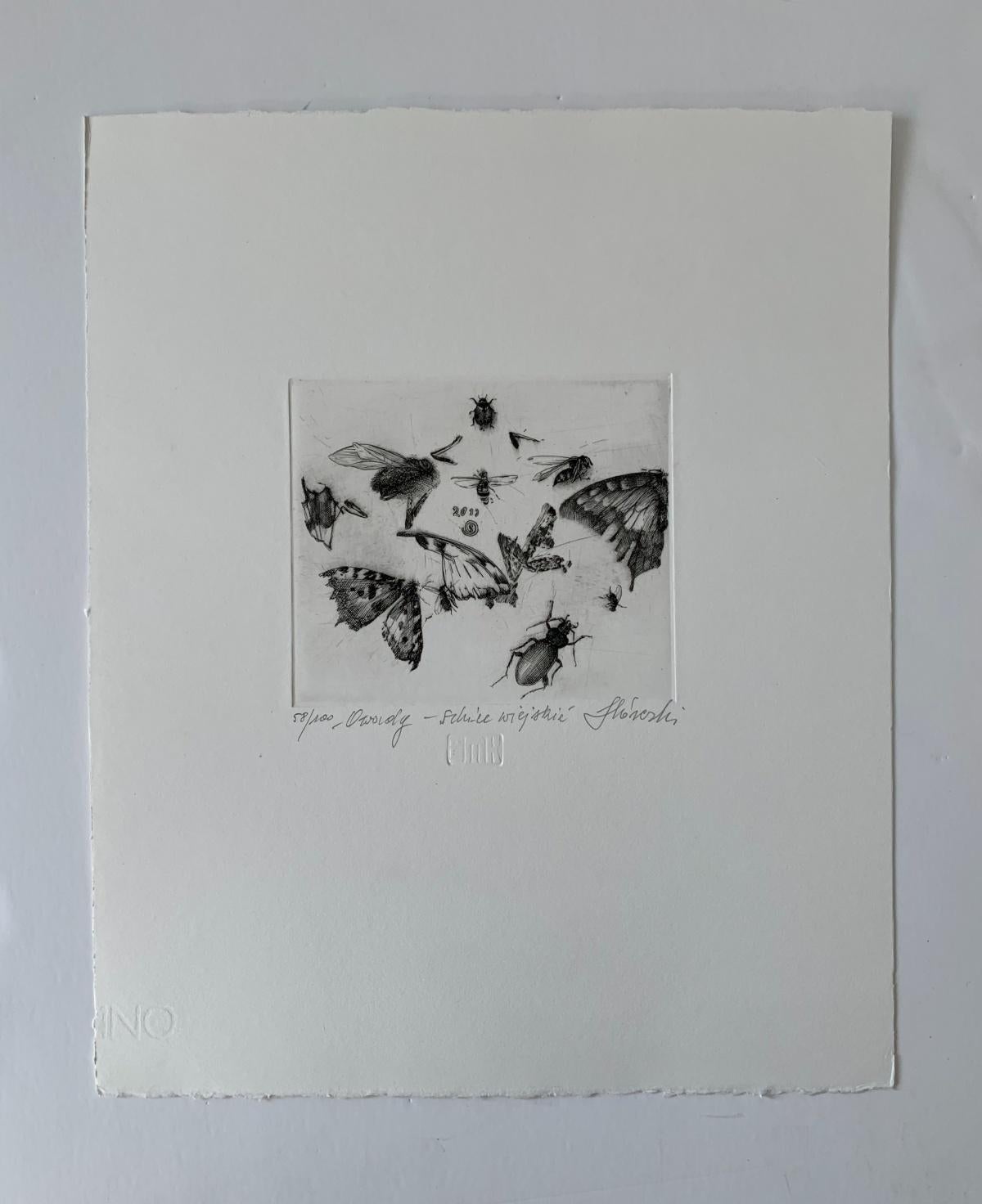 Insects - 21st Century Figurative Copperplate Print Black & White For Sale 1