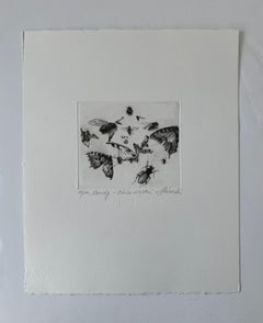 Insects - 21st Century Figurative Copperplate Print Black & White
