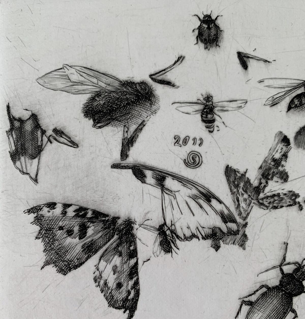 Insects - 21st Century Figurative Copperplate Print Black & White For Sale 3