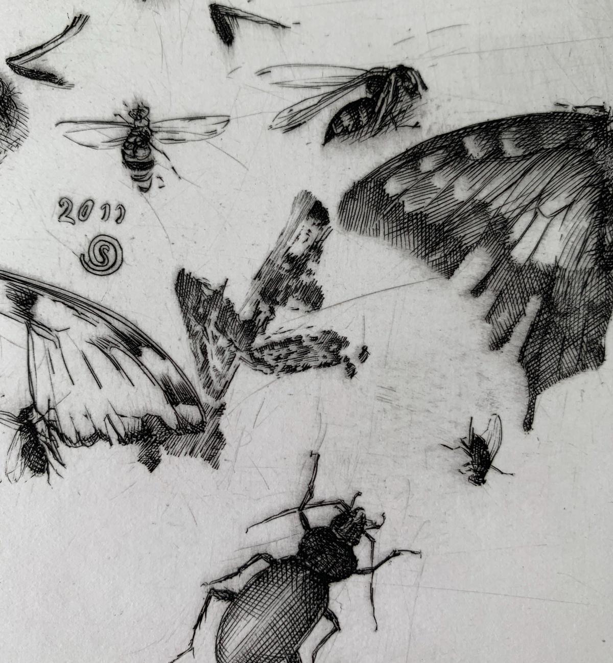 Insects - 21st Century Figurative Copperplate Print Black & White For Sale 4