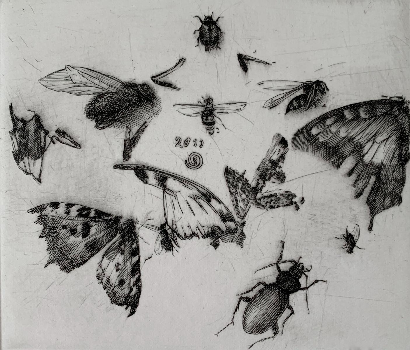 Insects - Imprimé figuratif en cuivre noir et blanc du 21e siècle