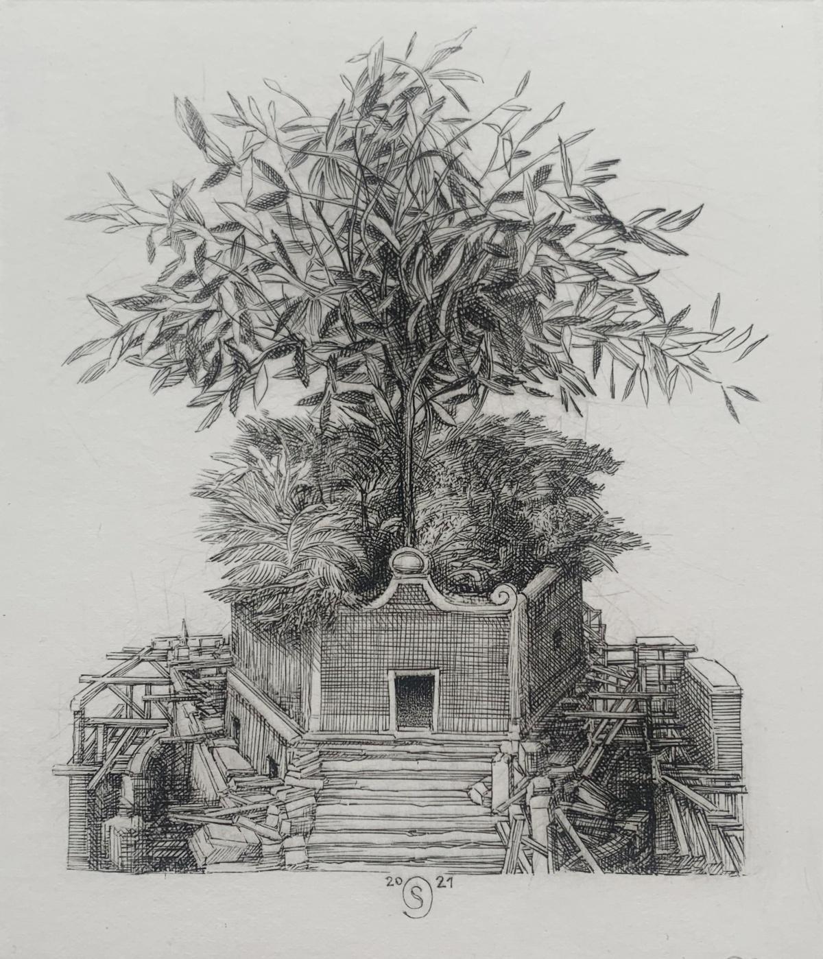 Krzysztof Skorczewski Figurative Print - Olea European, Figurative Copperplate Print, Olive Tree - Peace, Polish artist