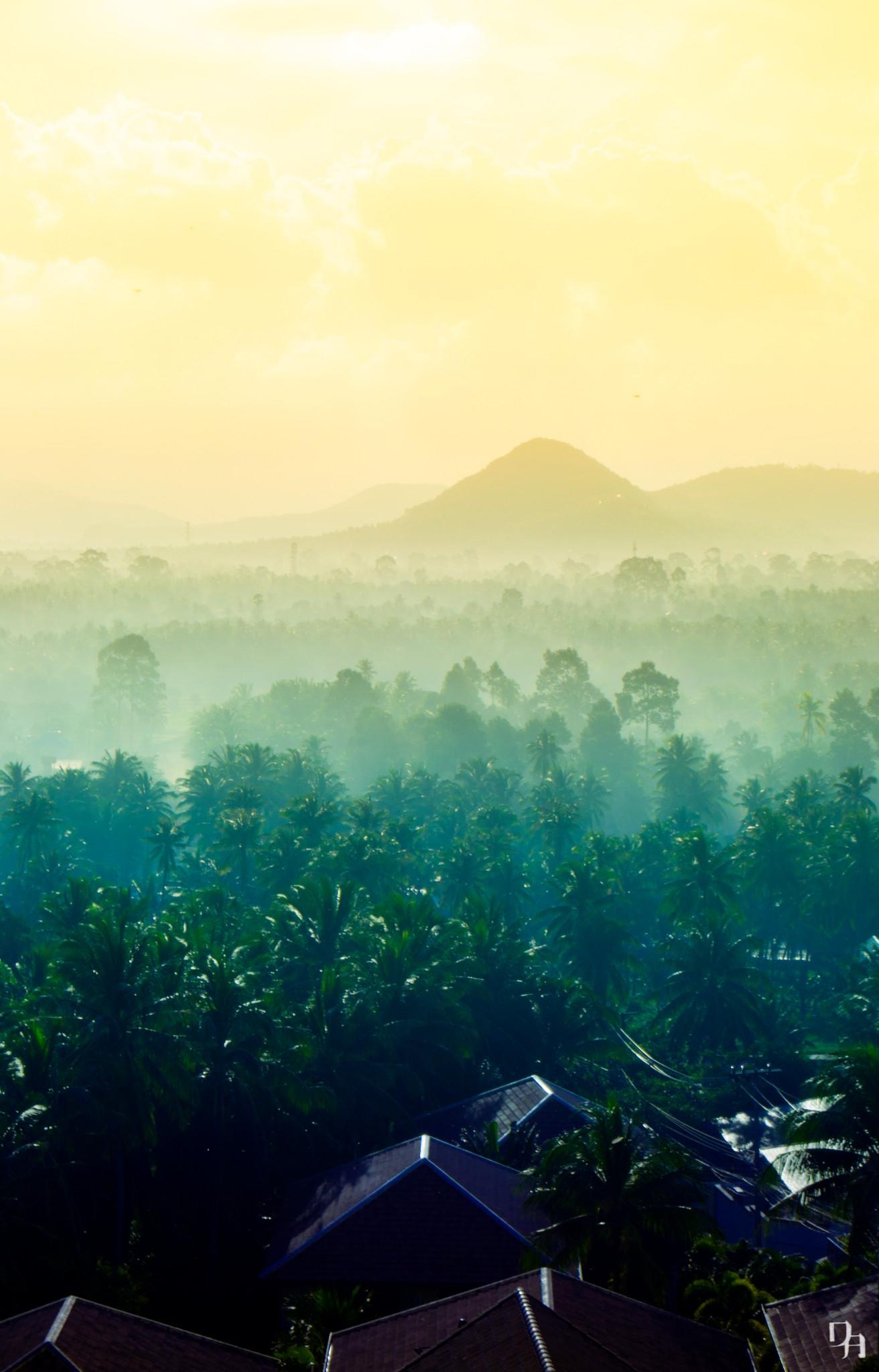 Photographie de paysages tropicaux Colorful Atmospheric Nature Sky Wall Art for Sale - Vert Landscape Photograph par Ksenia Kokovashina