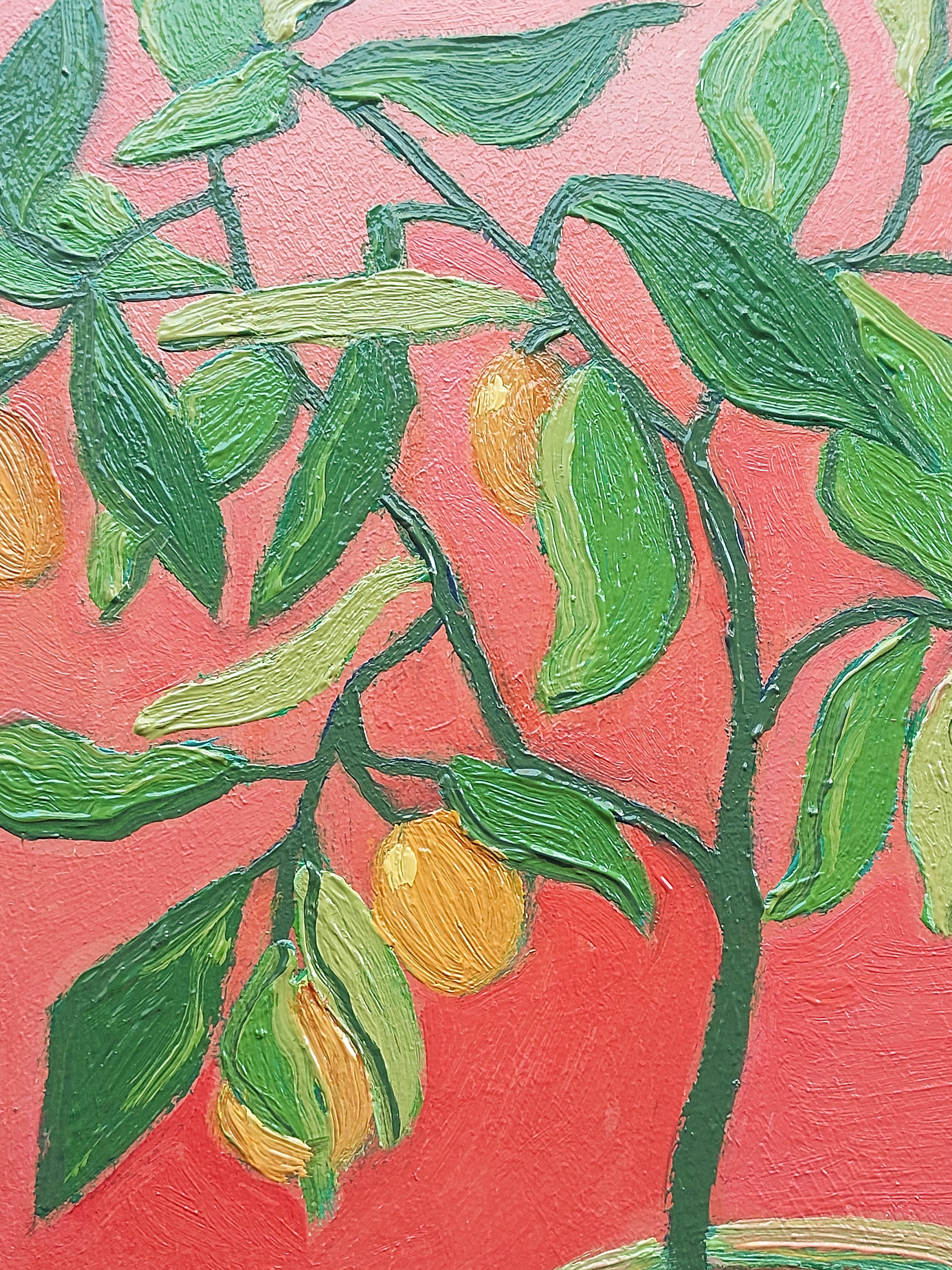 Frutta fantastica in vendita 1