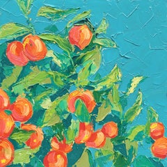 Mandarini illuminati dal sole