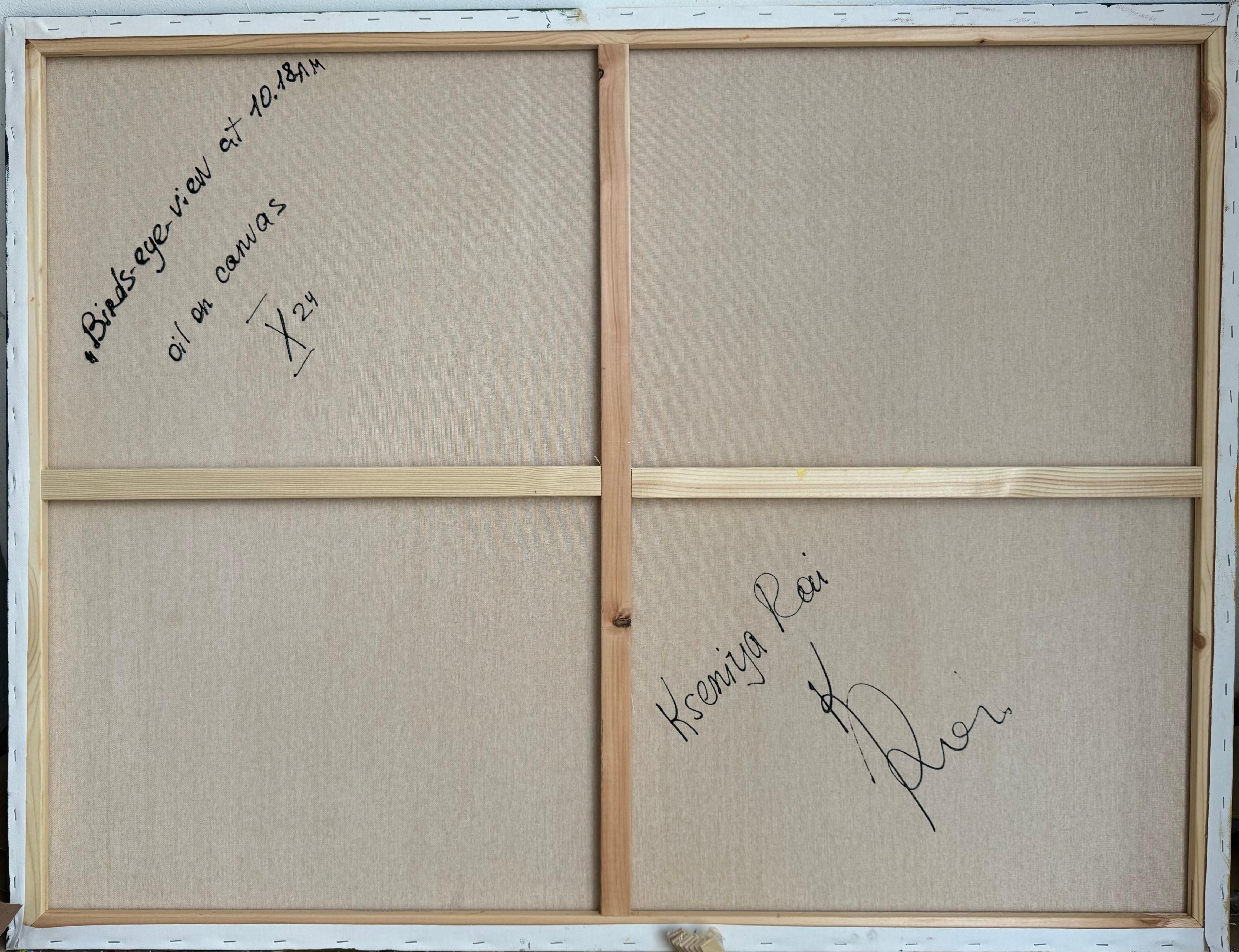 Vogelperspektive um 10.18 Uhr im Angebot 1