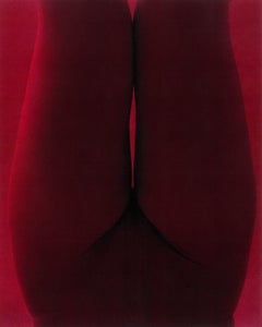 "die Erdbeere" Fotografía 29".5 x 24" en Ed. de 15 por Kseniya Vashchenko