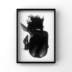 "Gray Cardinal" Photography 39" x 31" in Edition of 7 by Kseniya Vashchenko