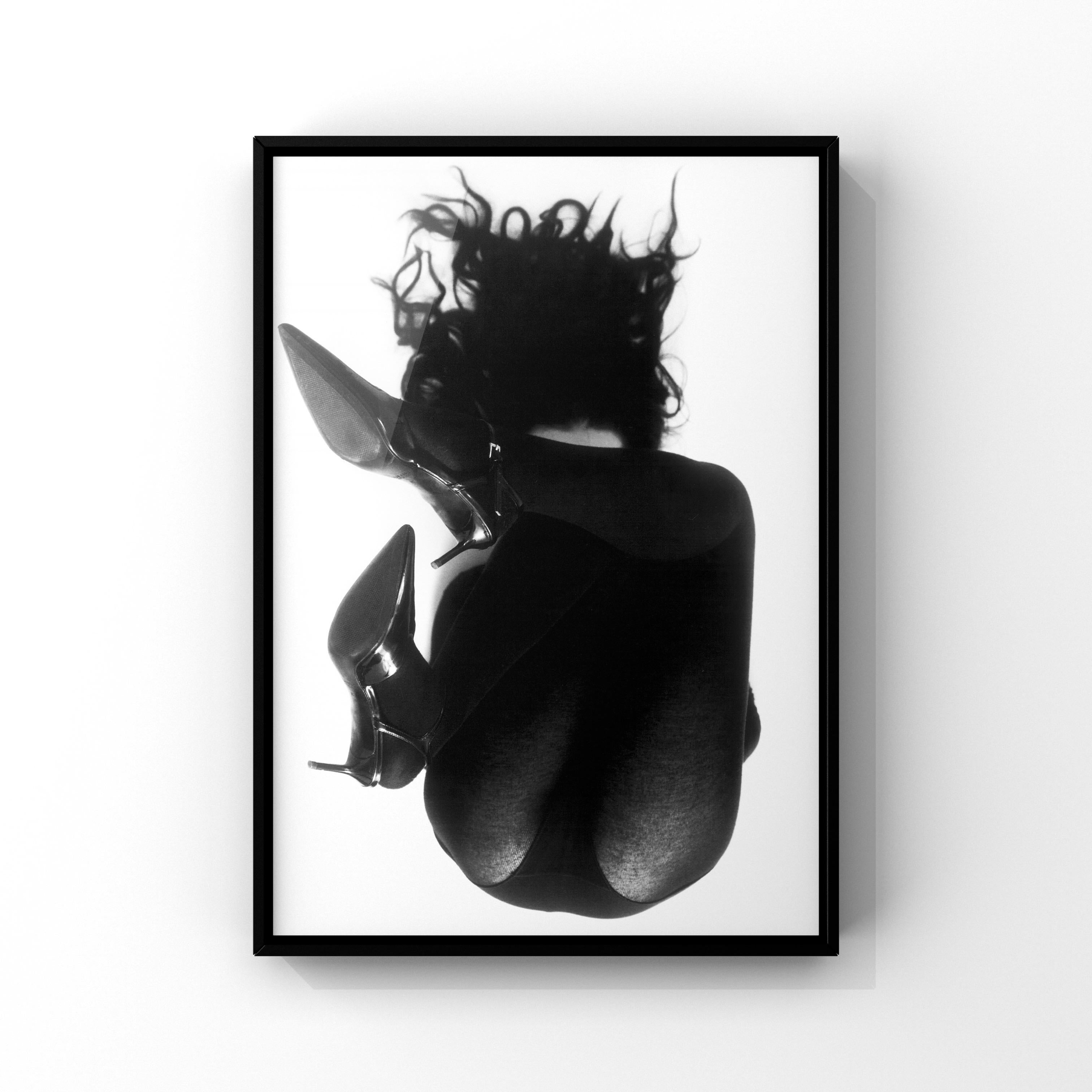 Photographie gris Cardinal 49