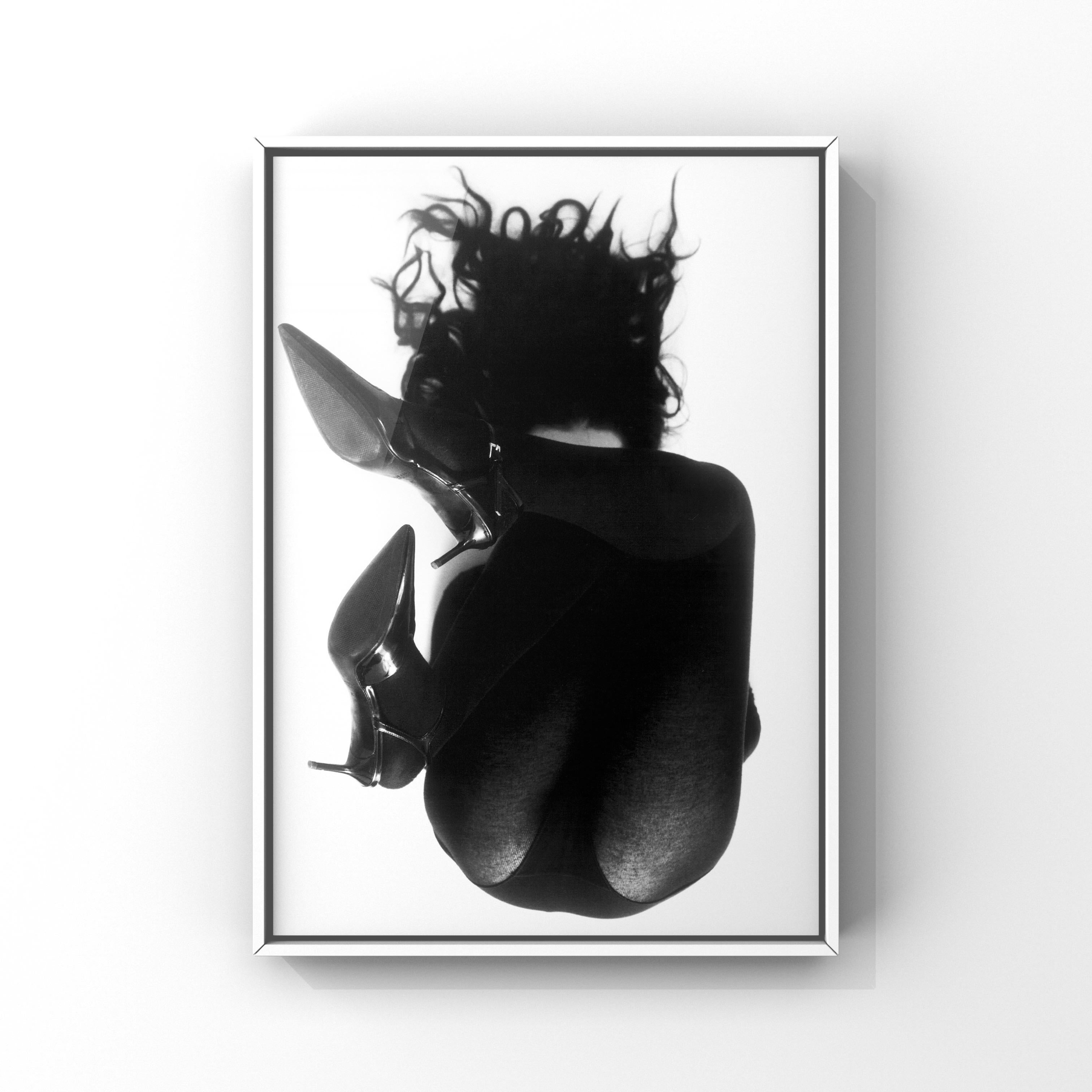 Photographie gris Cardinal 49