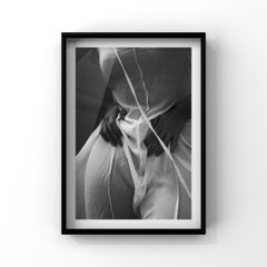 "Instincts" Black & White Photograph 29.5x24 in Ed. of 15 by Kseniya Vashchenko