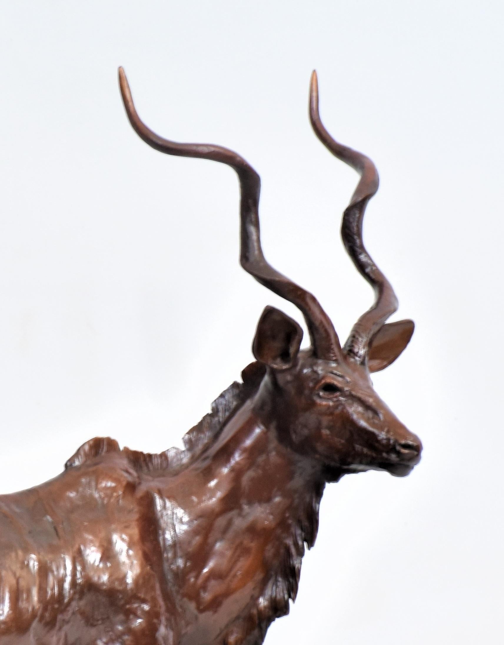 Con le sue impressionanti corna a spirale e il suo portamento nobile, il toro Kudu è una delle specie di antilopi più eleganti dell'Africa, una vera e propria icona del bushveld. Questa scultura in bronzo cattura il portamento e la forza