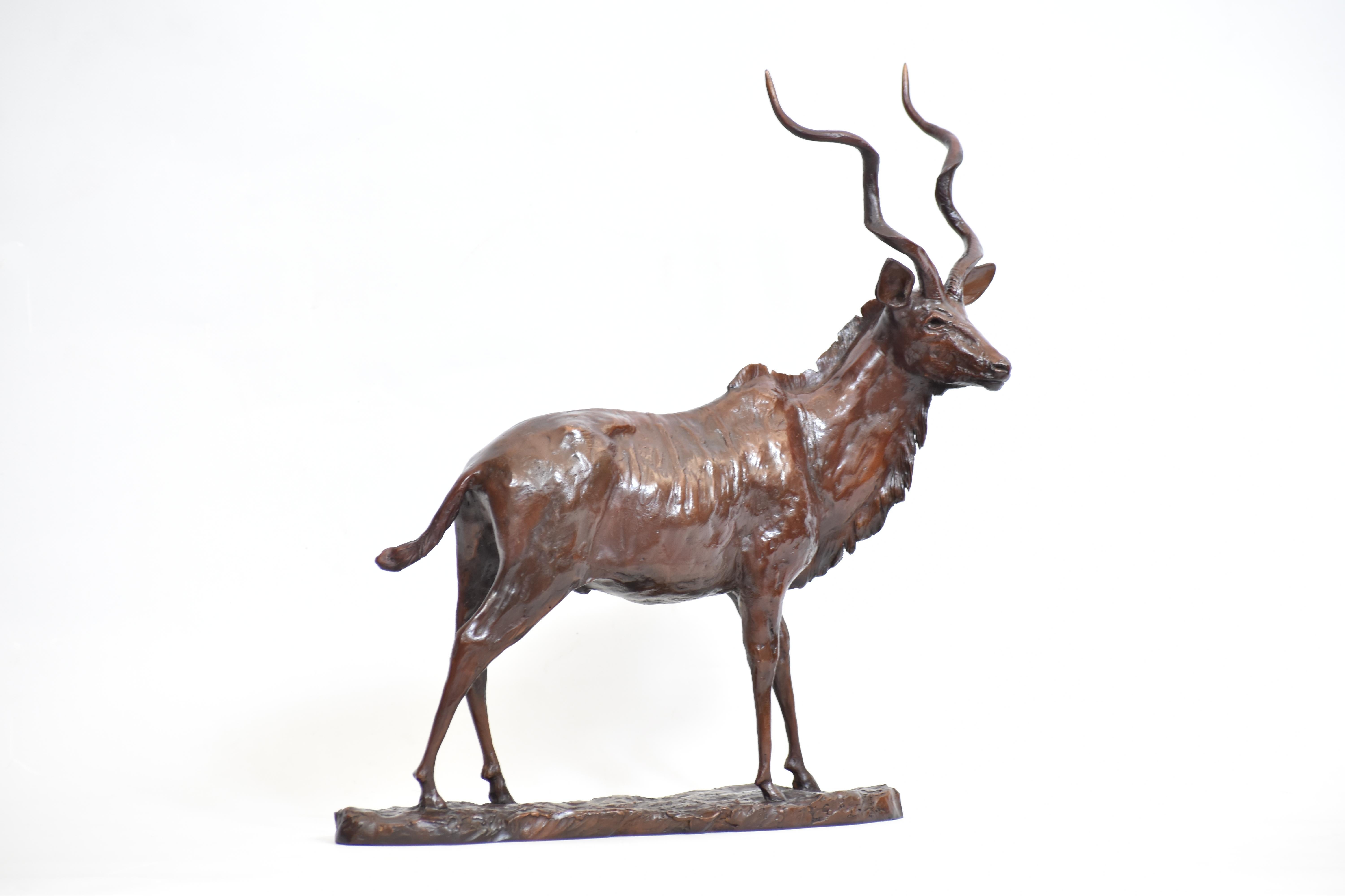 Calco Toro Kudu - Scultura di antilope in bronzo in vendita
