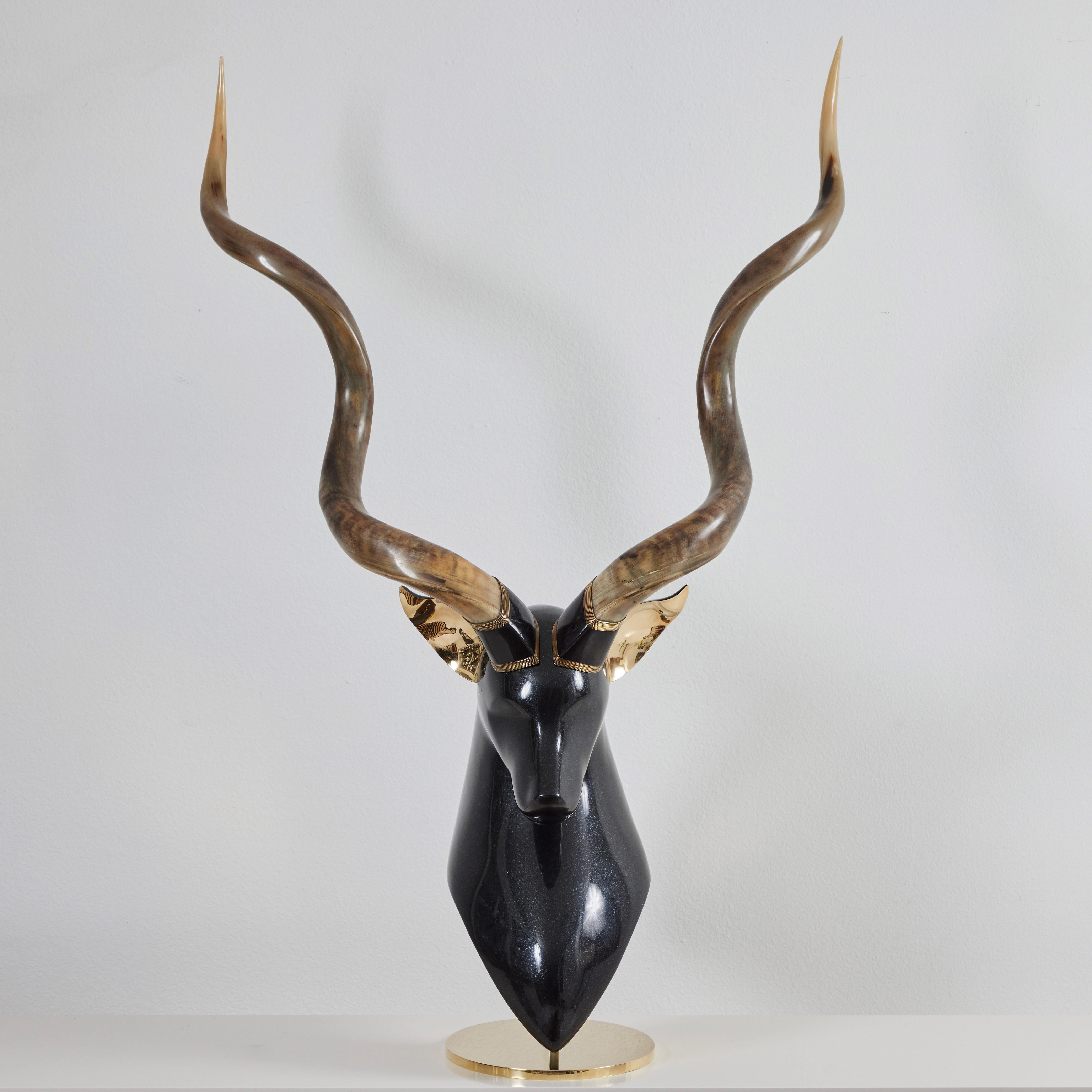 This large and impressive Kudu Staghorn sculpture was made by Roberto Esteves for Karl Springer. The fiberglass casting is sealed with an gunmetal lacquer. The base and the ears are solid brass. The 3 foot authentic horns tower above the majestic