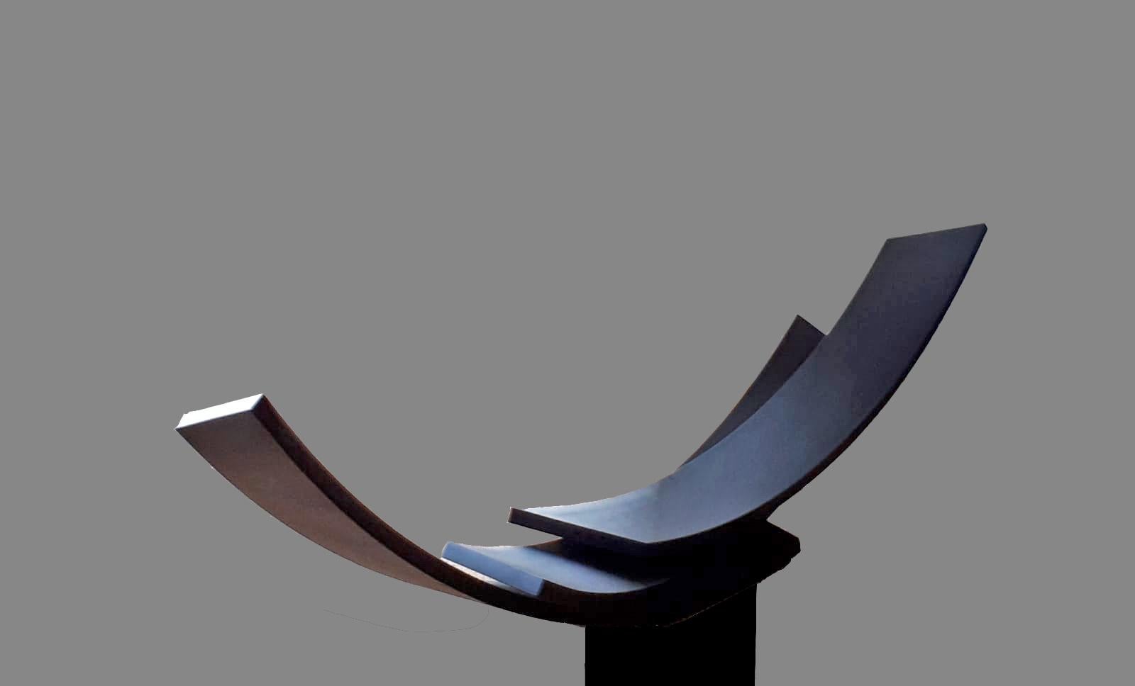 A large contemporary black steel sculpture. Beautiful on the floor or a pedestal. 
A contemporary statement piece full of elegance and movement.
_______________________________________________________________________

About the Gallery:
Folly and