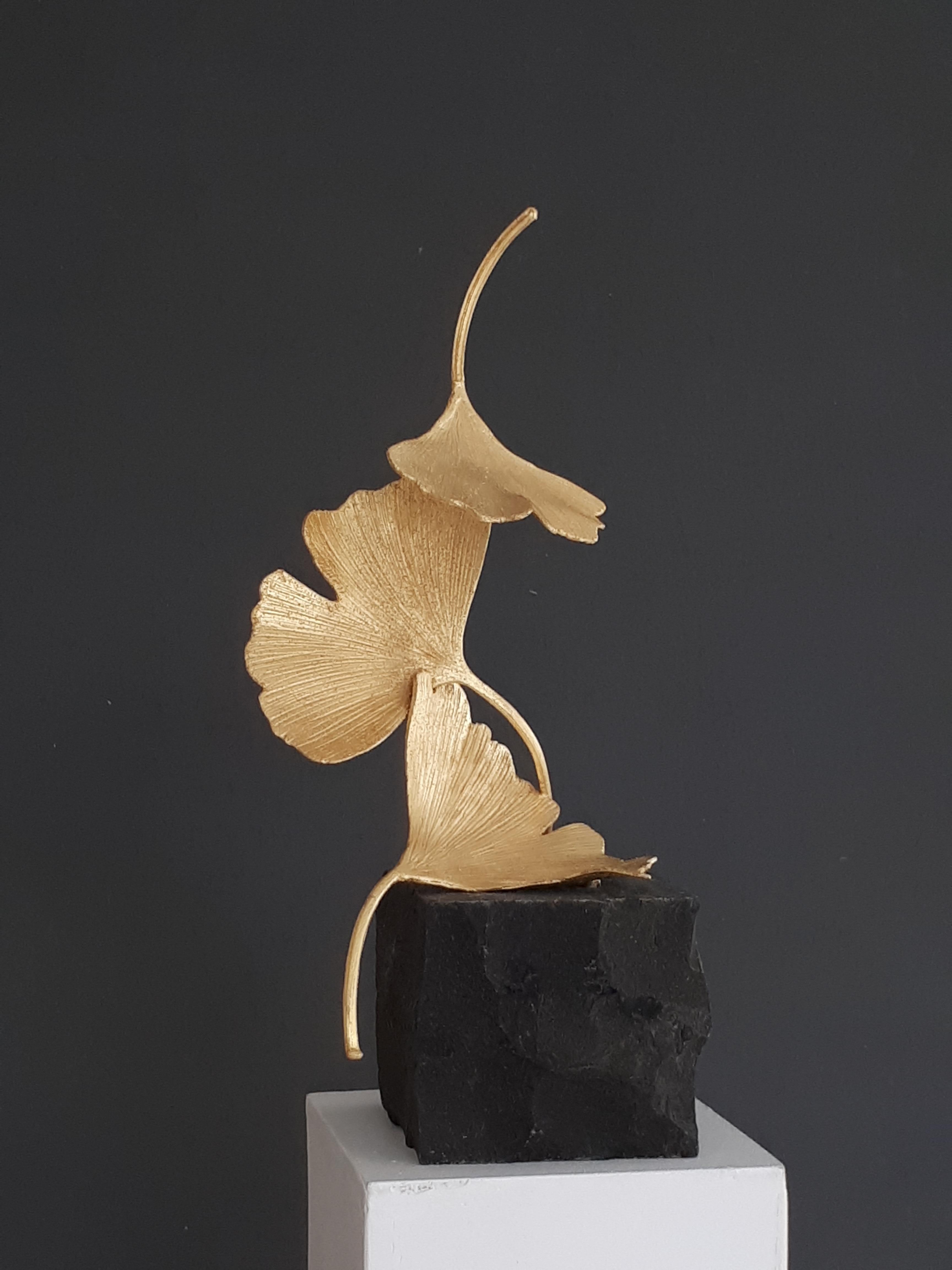 Artist: Kuno Vollet

Title: Golden Gingko

Materials: Cast brass, gold leaf, black granite base

Size: 25 x 9 x 9 cm

_______________________________________________________________________

This small elegant original bronze cast sculpture by