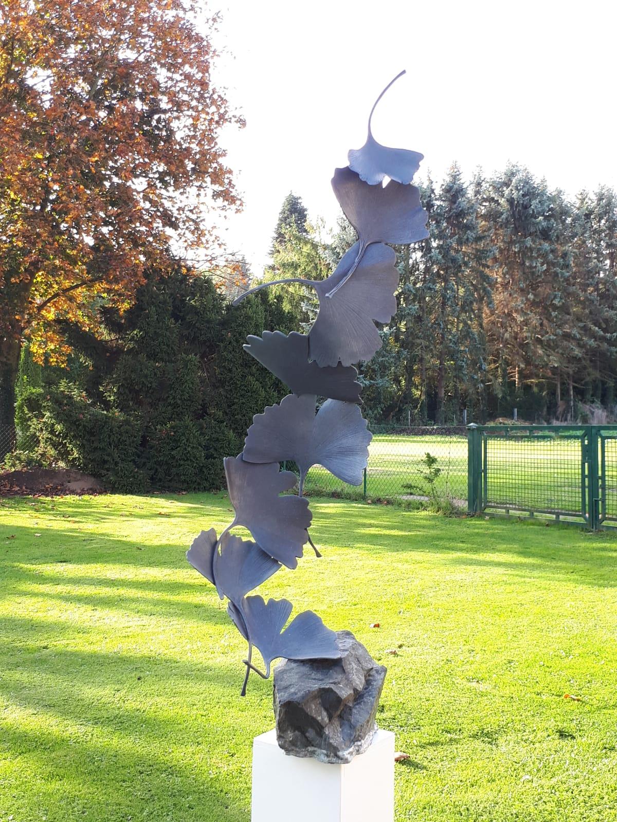 Grey Gingko by Kuno Vollet Contemporary Bronze sculpture on granite 4