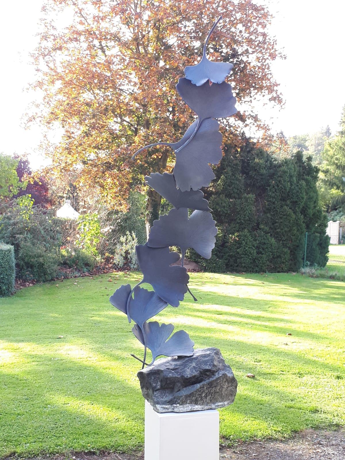 Grey Gingko by Kuno Vollet Contemporary Bronze sculpture on granite 8