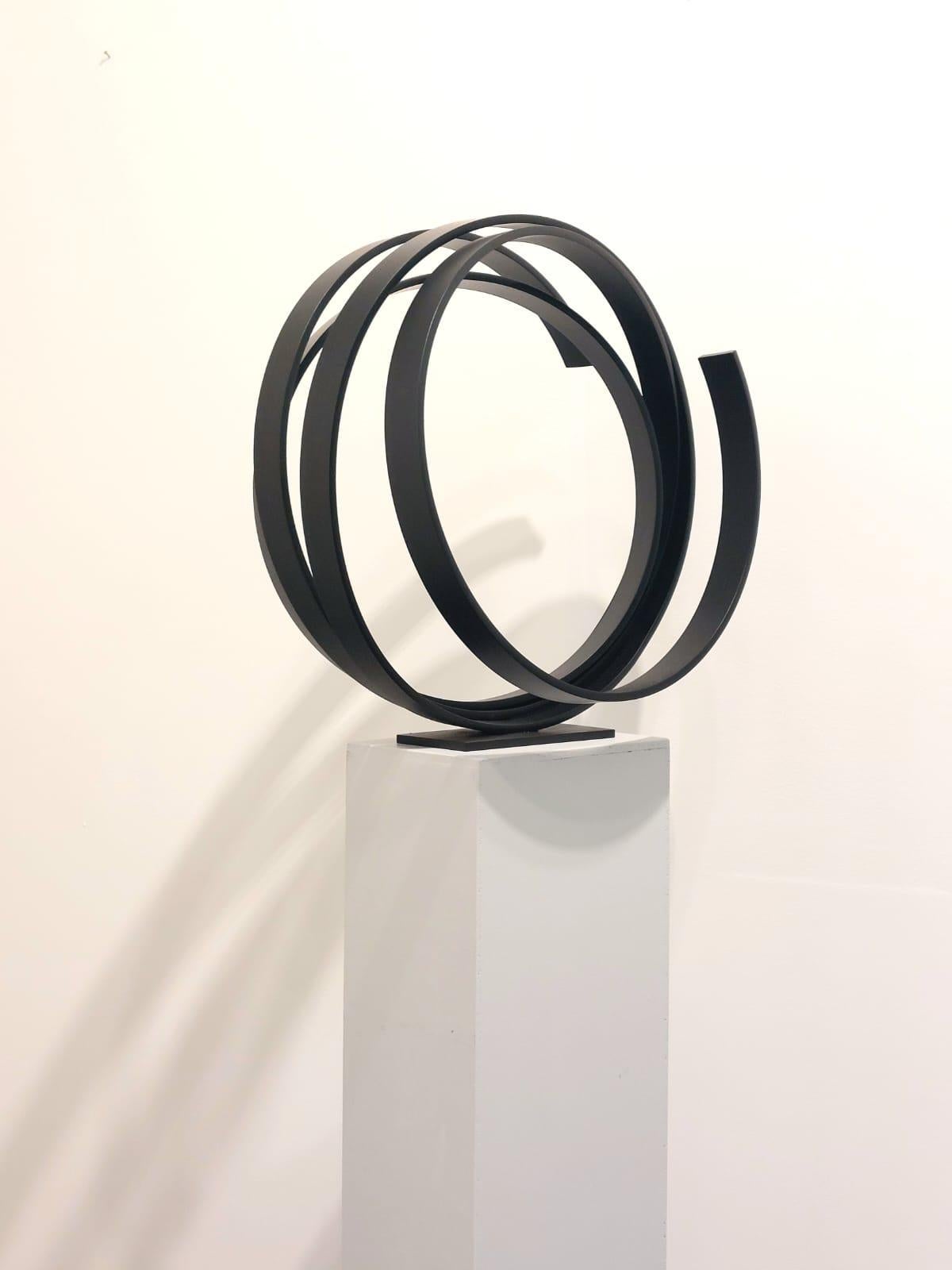 Una gran escultura contemporánea de acero recubierto de polvo negro. Preciosa en el suelo o sobre un pedestal. 
Una pieza contemporánea llena de elegancia y movimiento.
_______________________________________________________________________

Nacido