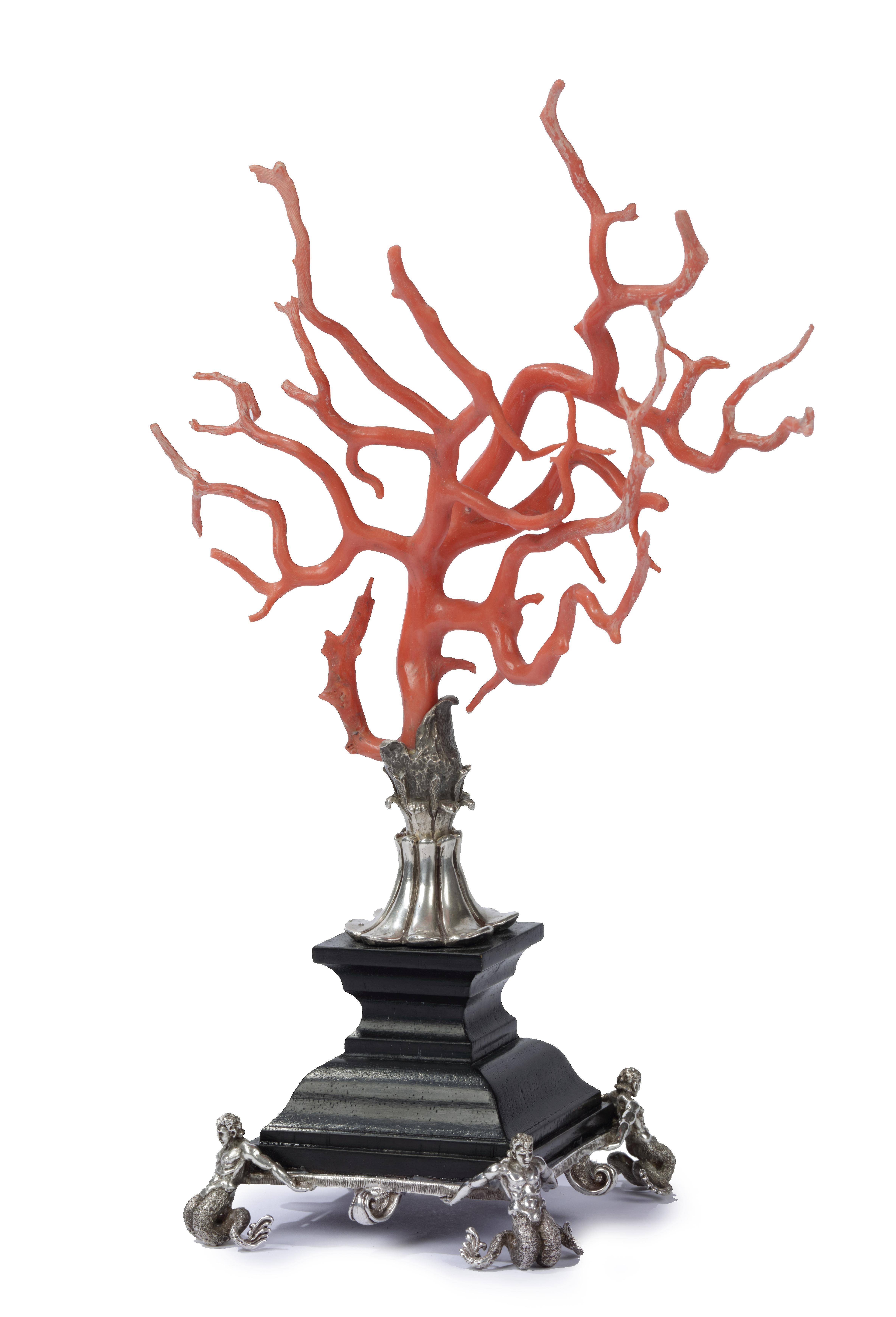 Italian Kunstkammer Red Coral Branch Ebony and Silver Stand, after Renaissance