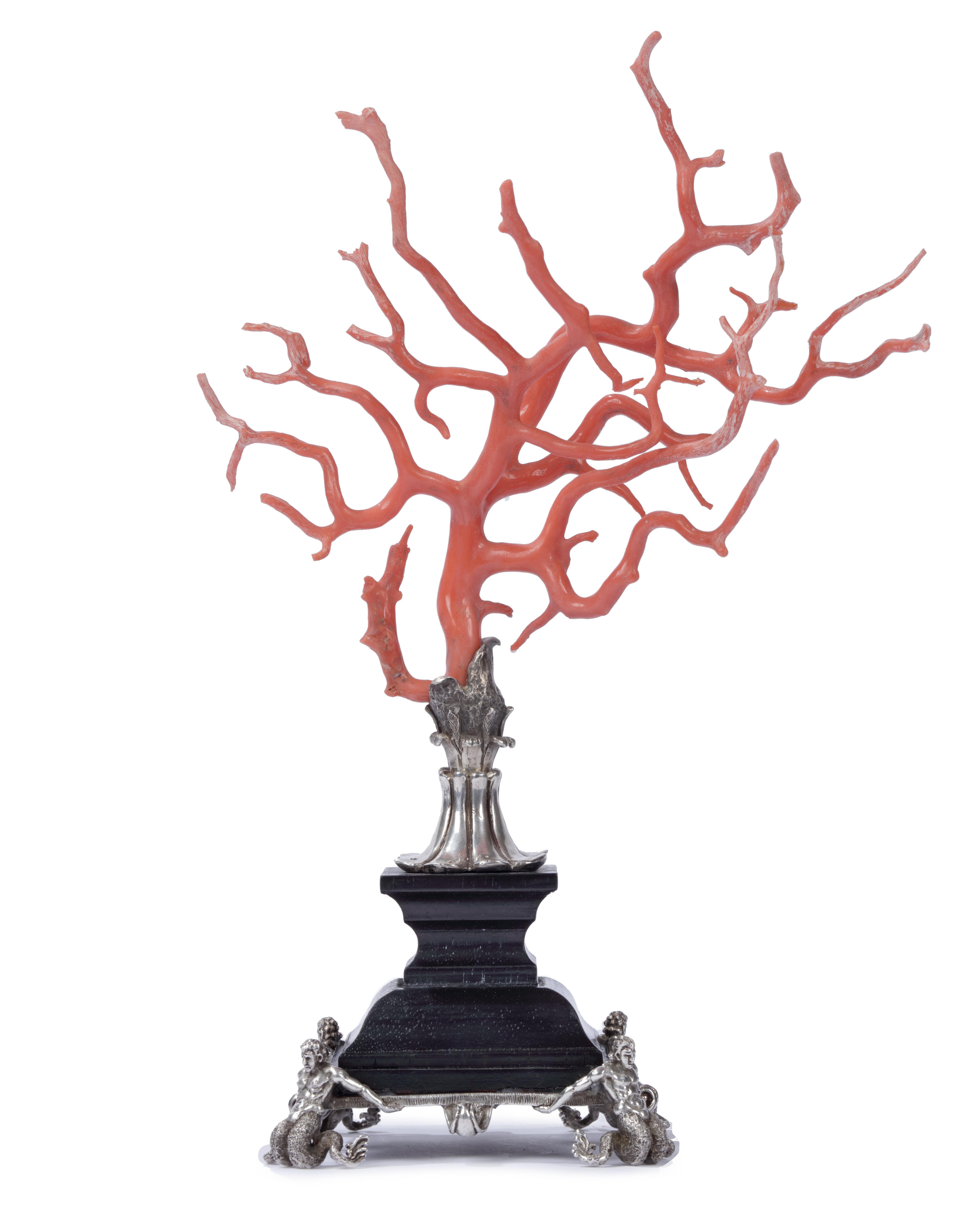 Kunstkammer Red Coral Branch Ebony and Silver Stand, after Renaissance In Excellent Condition In Amsterdam, NL