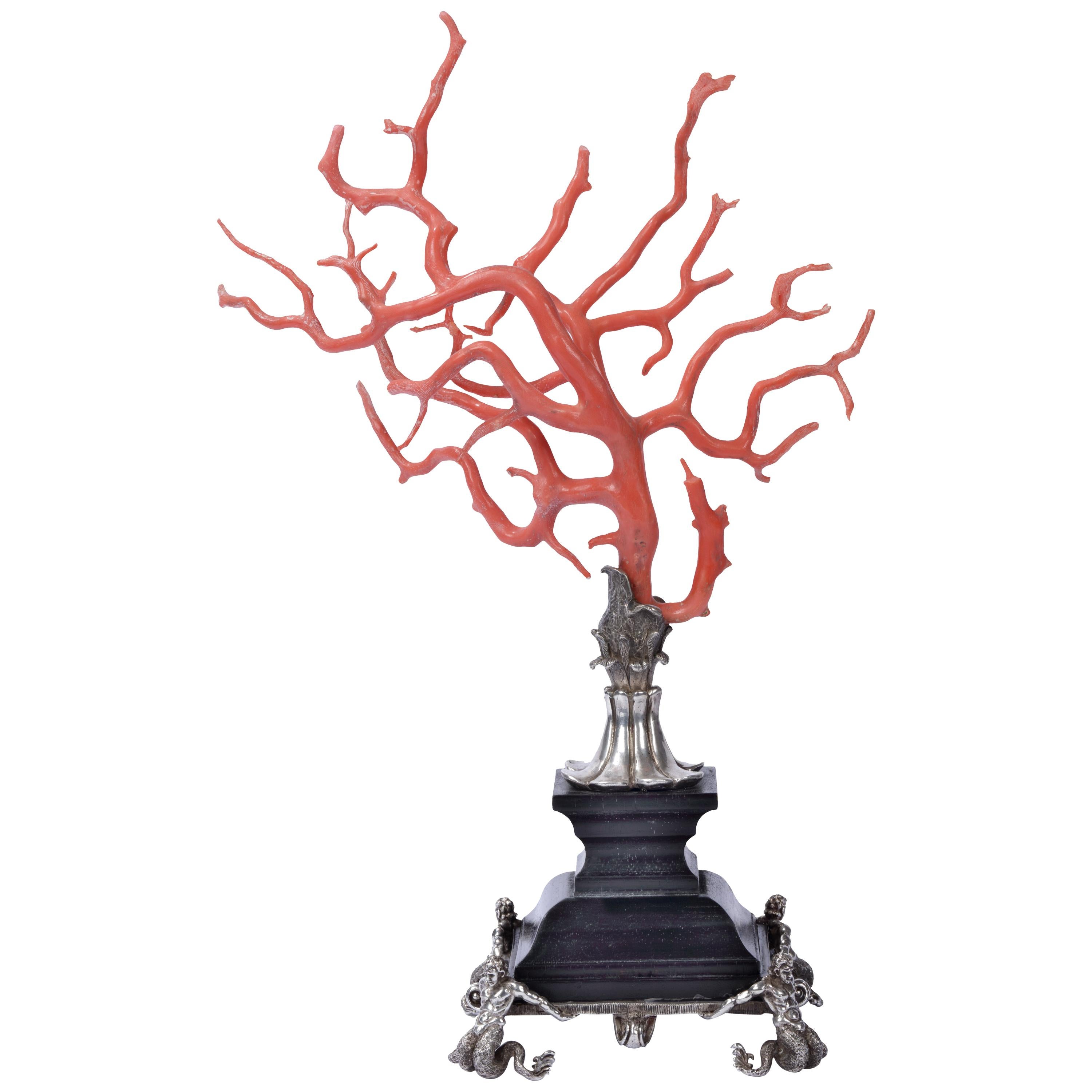 Kunstkammer Red Coral Branch Ebony and Silver Stand, after Renaissance