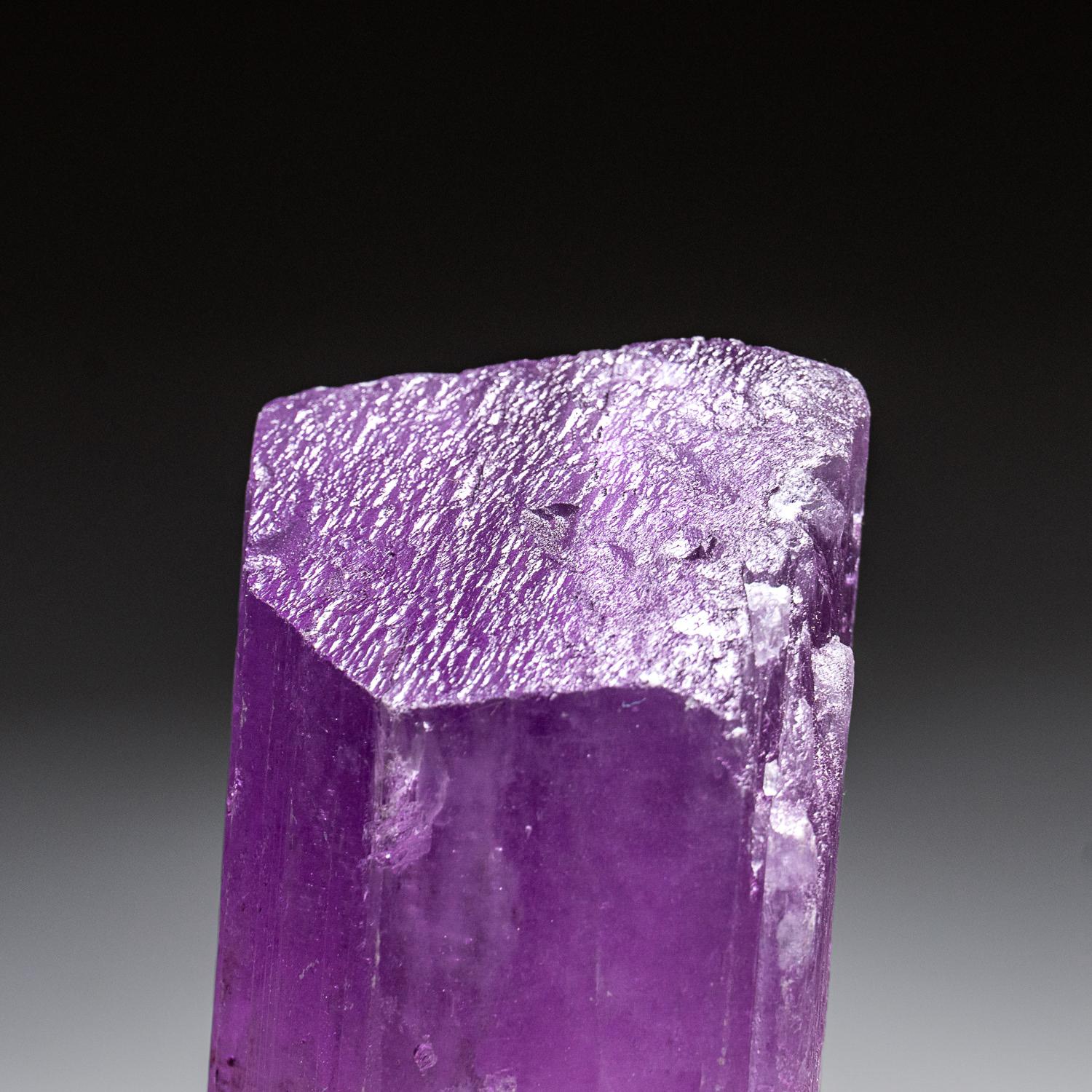 Kunzite Crystal from Nuristan Province, Afghanistan '1.3 Lbs' For Sale 2