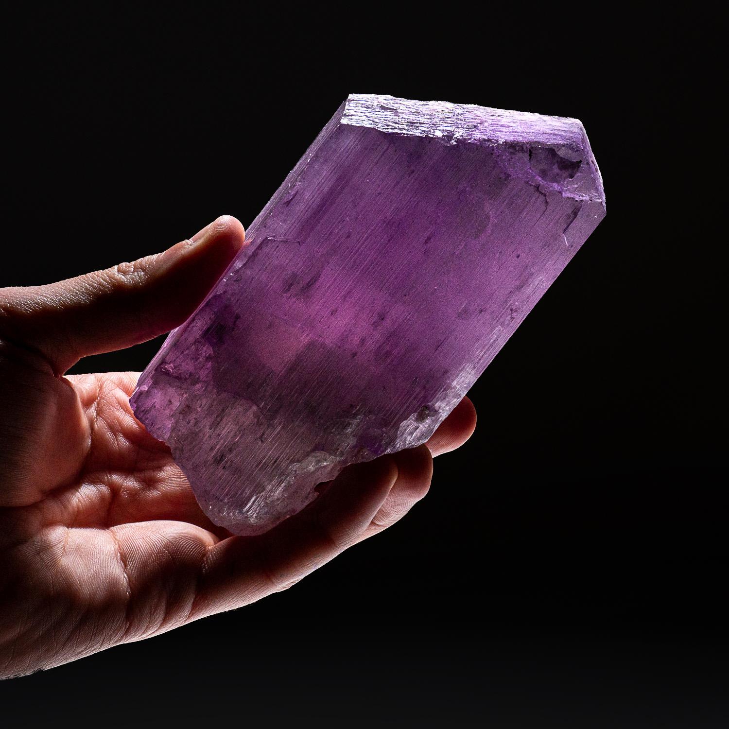 Grand cristal unique de Kunzite spodumène rose transparent avec des faces prismatiques striées et une terminaison en forme de ciseau.

La kunzite est un cristal magnifique, à l'énergie pure et à la nature joyeuse. De couleur rose pâle à violet