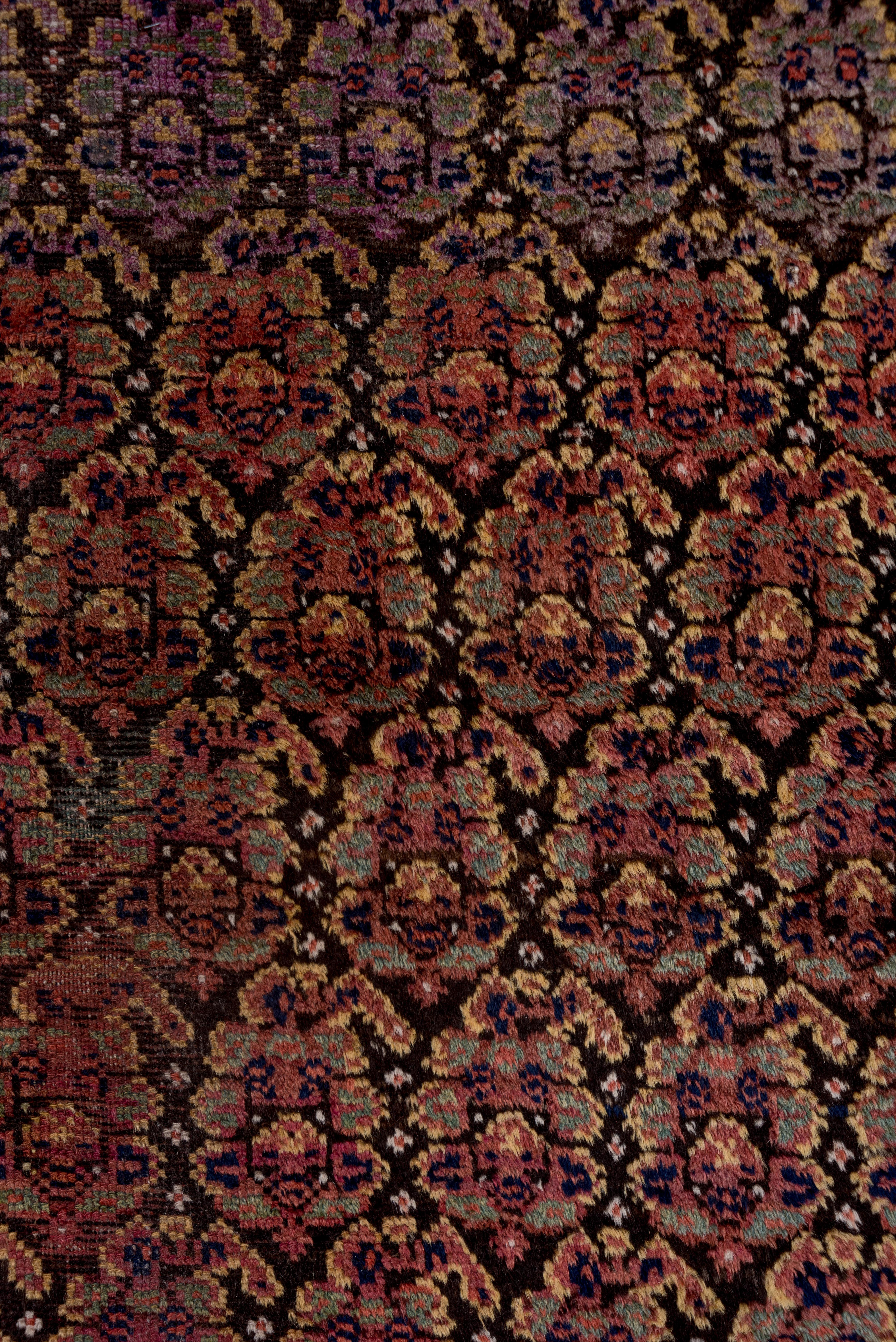 Kurd Rug Allover Herati Pattern in Earth Tones For Sale 3