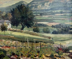 From the vegetable garden view of the Geneva countryside and the Salève