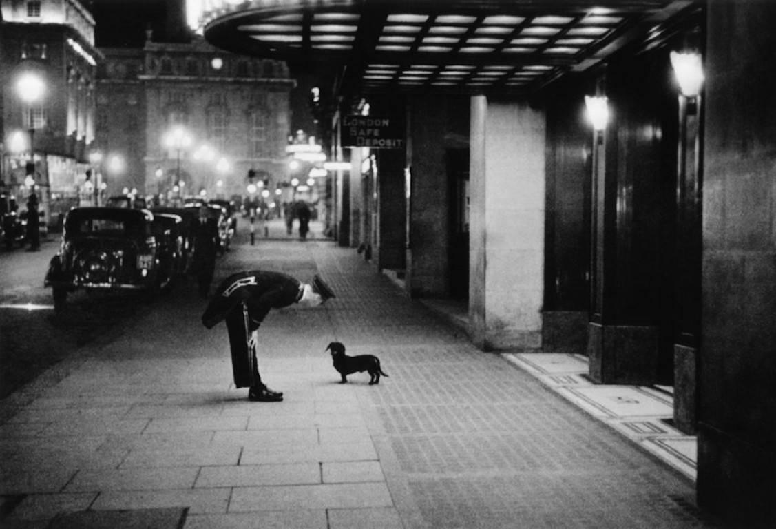 Kurt Hutton Black and White Photograph - 'Commissionaire’s Dog' Limited Edition Silver Gelatin Print 