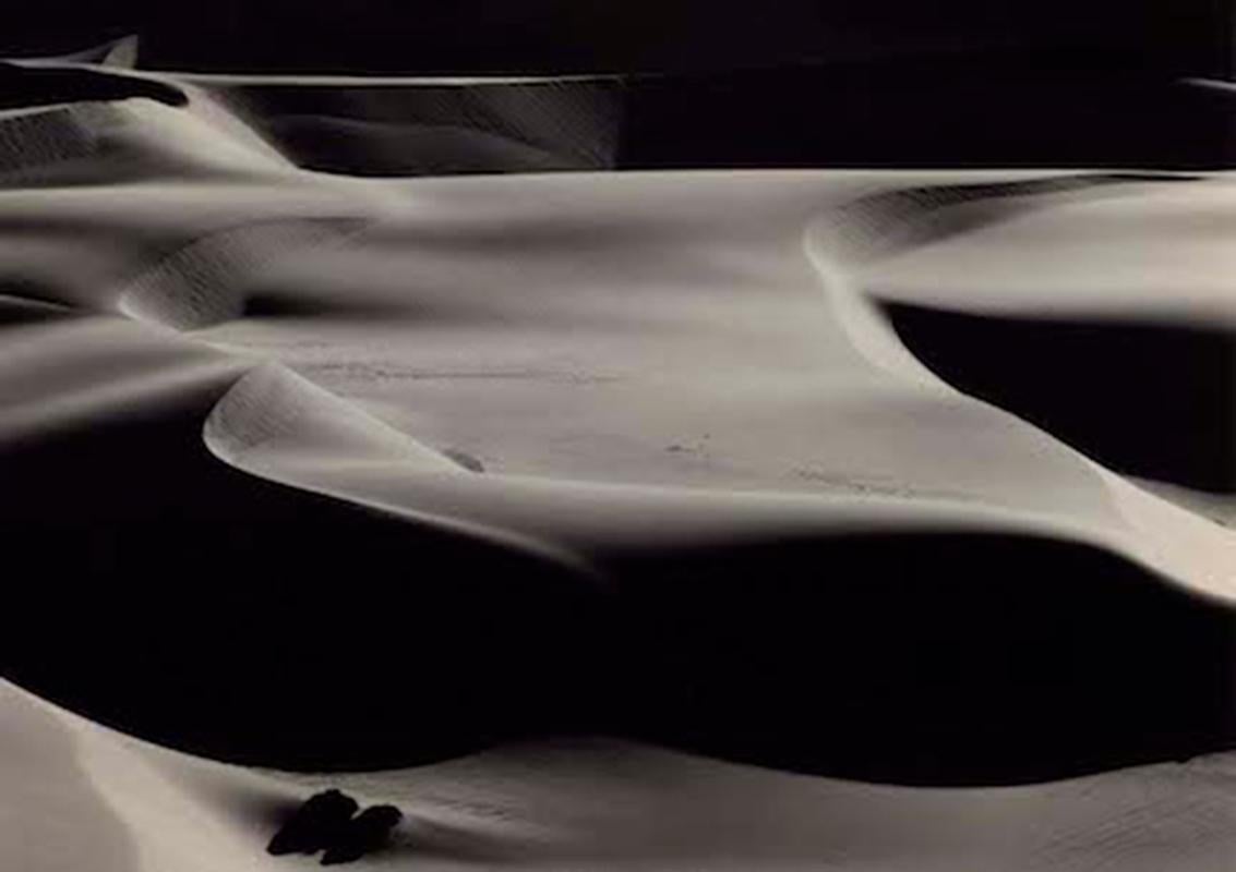 Kurt Markus Black and White Photograph - Dunes, Namibia, Africa