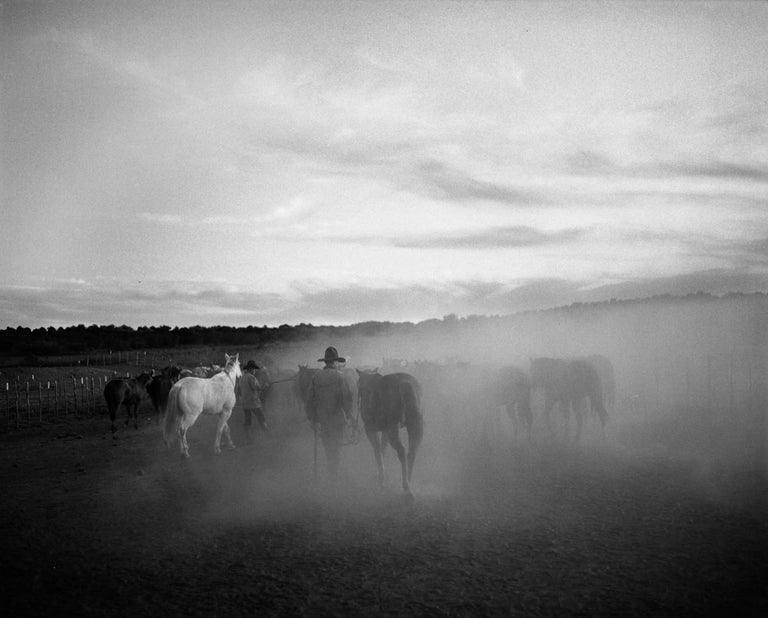 Kurt Markus - Oro Ranch Prescott, Arizona For Sale at 1stDibs
