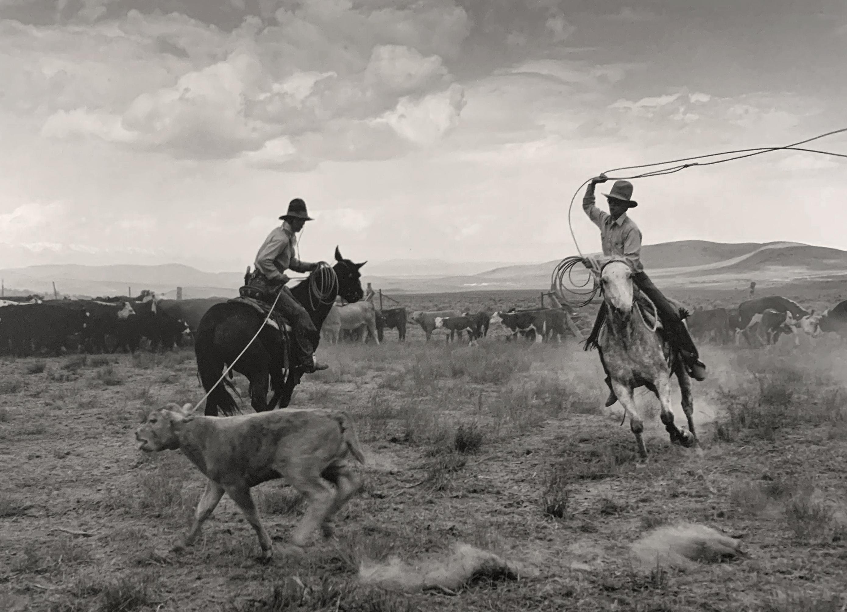 Kurt Markus Landscape Photograph - White Horse Ranch, Fields, Oregon