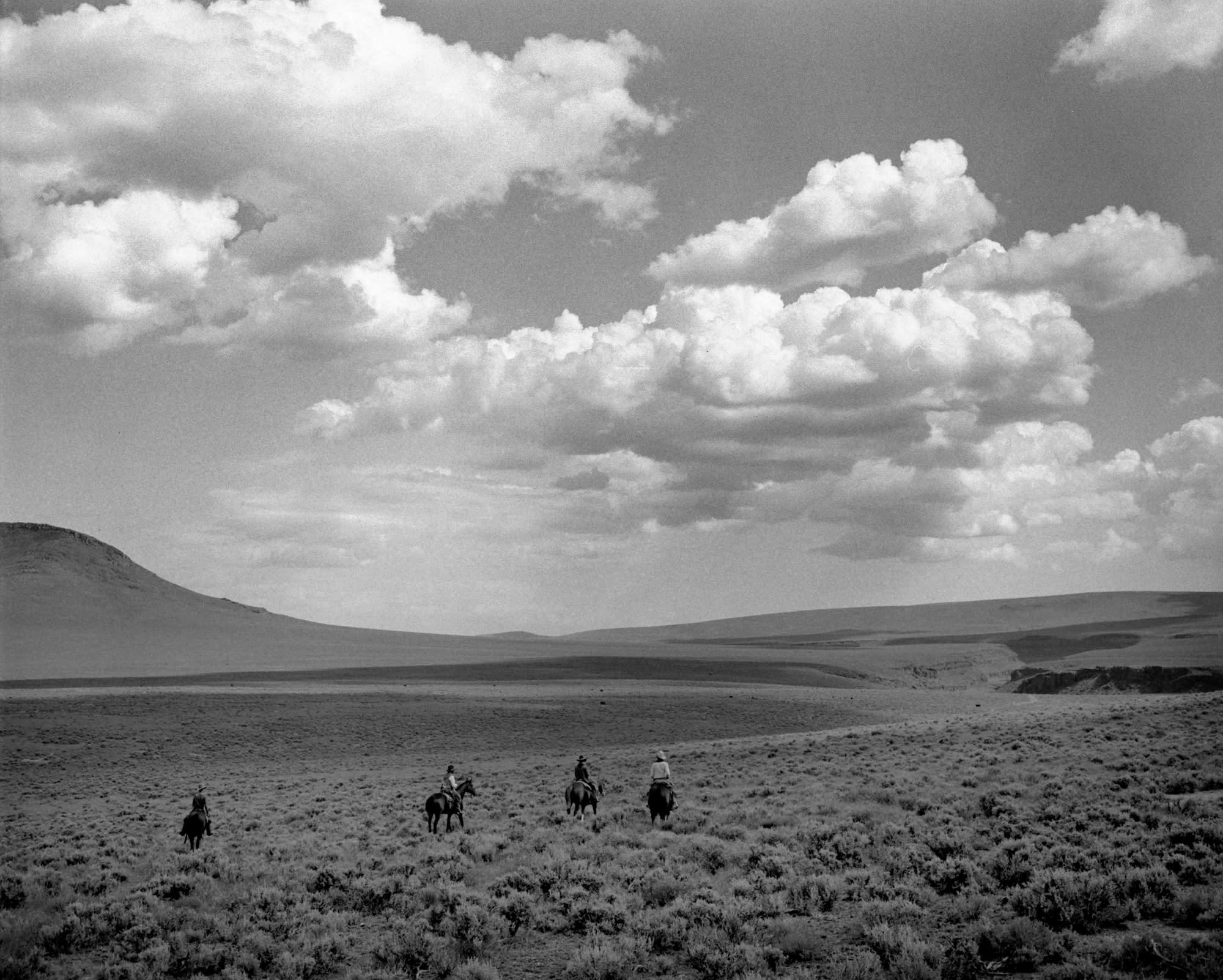 White Horse Ranch - Photograph by Kurt Markus