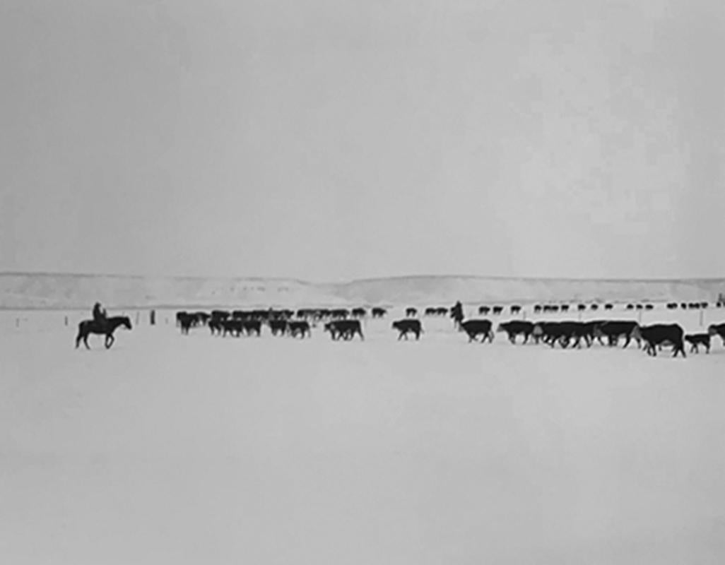 Kurt Markus Black and White Photograph - YP Ranch, Tuscarora, Nevada