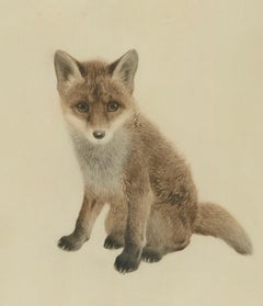 Kurt Meyer-Eberhardt (1855-1977) - Aguafuerte de mediados del siglo XX, Cachorro de zorro