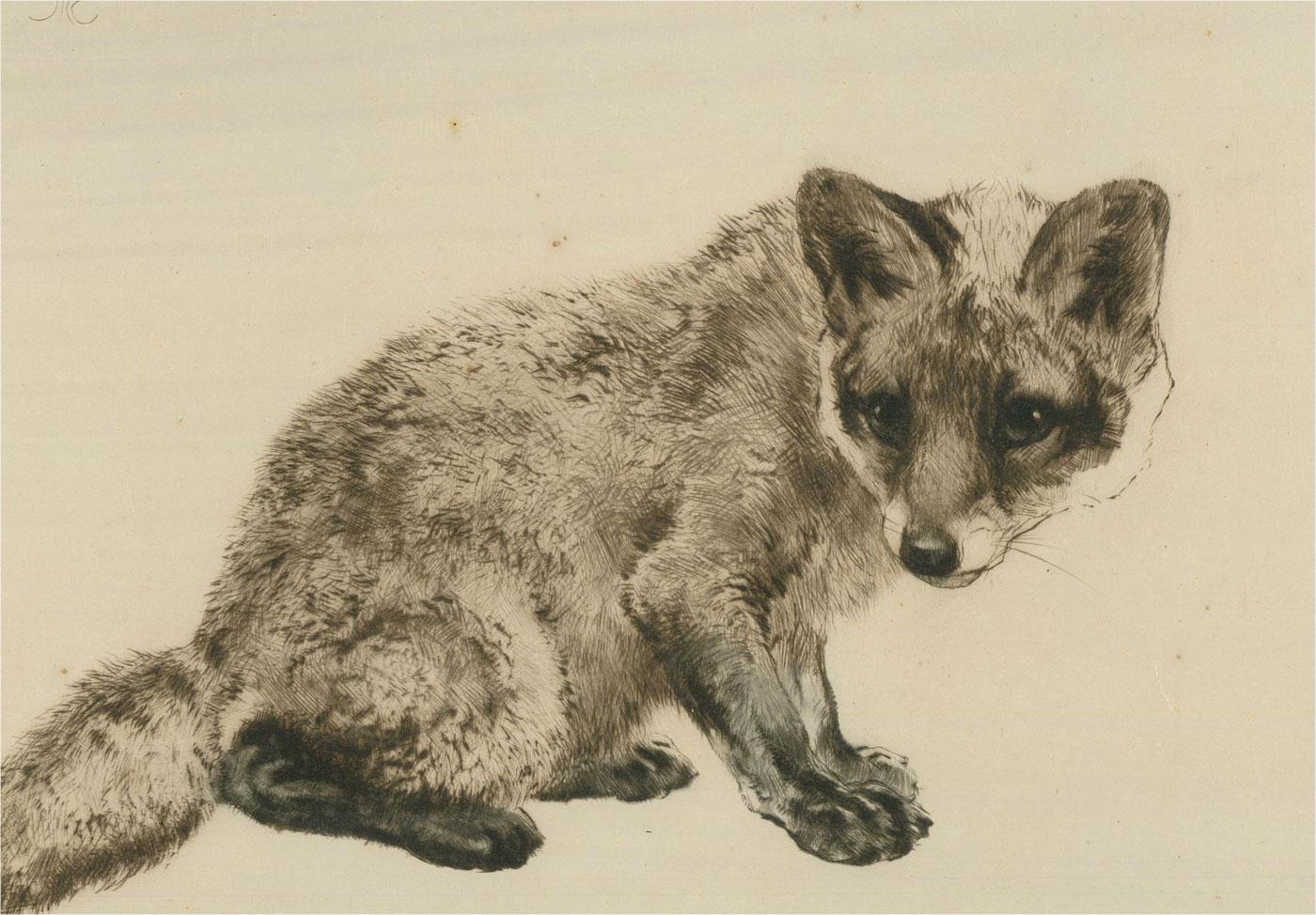 Kurt Meyer-Eberhardt (1895-1977) - Early 20th Century Etching, Curious Fox Cub 2