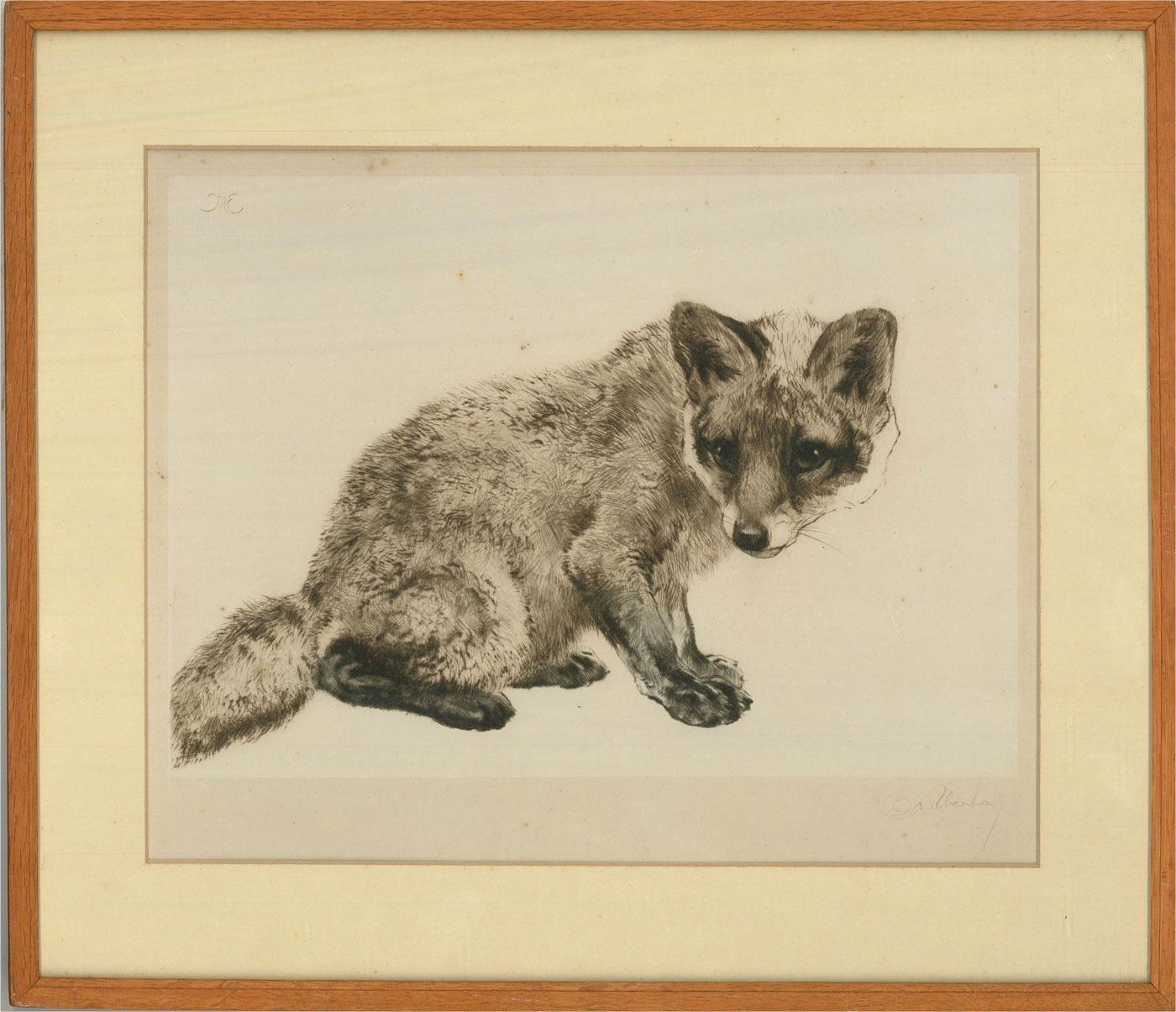 A heartwarming and delicate etching in slight sepia tones, showing a bright eyed, curious little fox cub. The artist has signed in graphite to the lower right and monogrammed in plate at the upper left. There is a German paper manufacturer's blind