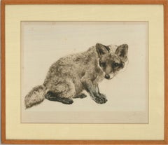 Kurt Meyer-Eberhardt (1895-1977) - Early 20th Century Etching, Curious Fox Cub
